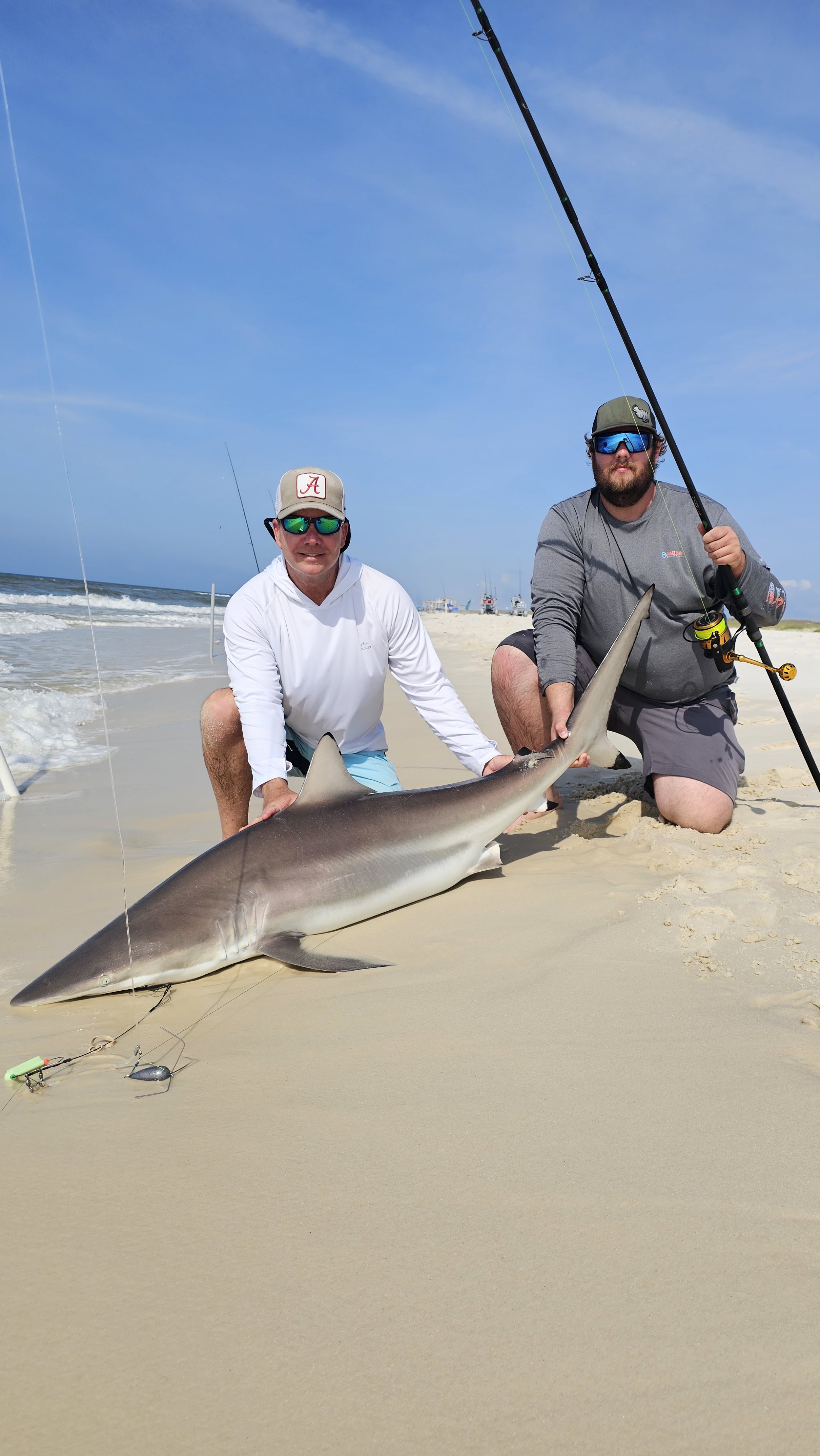 Two men on a sandy beach holding a large shark they caught, with fishing rods in hand and a clear blue sky in the background.