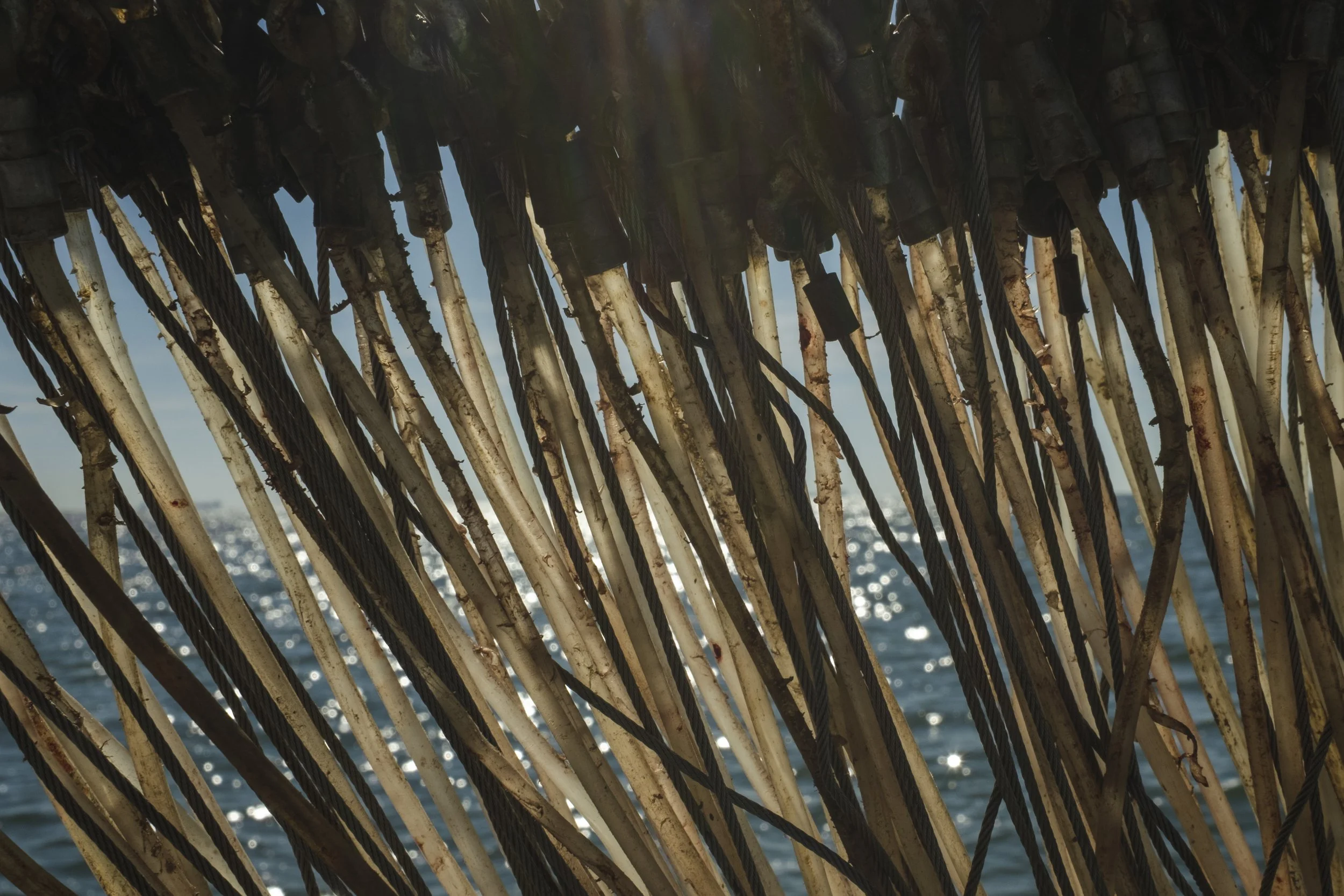 Close-up view of a thatched roof structure made of weathered wooden sticks and ropes, with a glimpse of the blue ocean and sunlight reflecting on the water in the background.