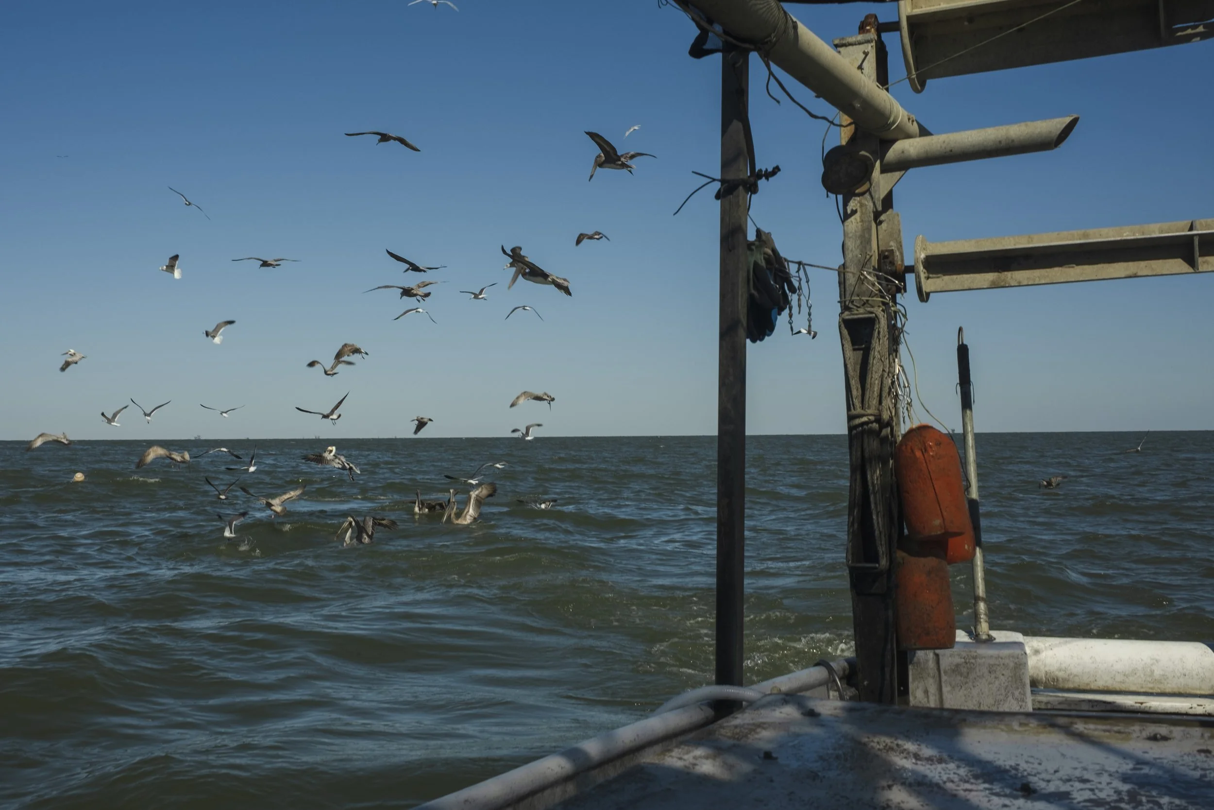 Sea with seagulls flying above, viewed from a boat with part of its structure visible.