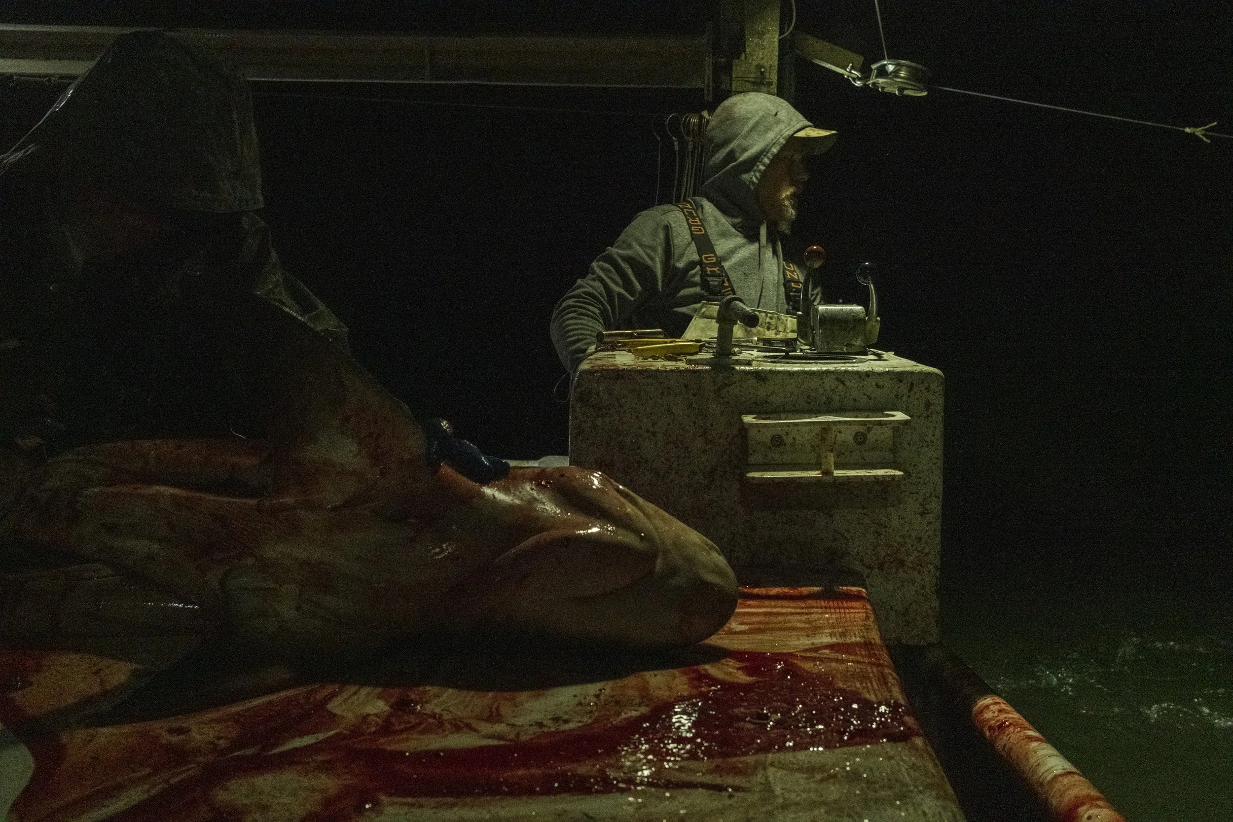 A fisherman standing at night with a hoodie, working on a fish on a boat with dark background.