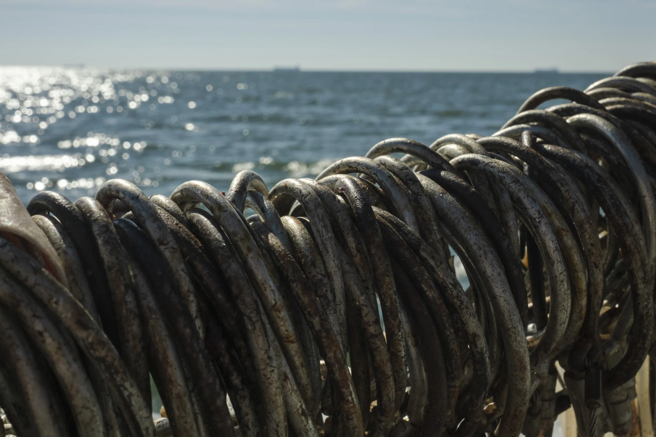 Close-up of rusted locks on a railing with ocean and ships in the background.