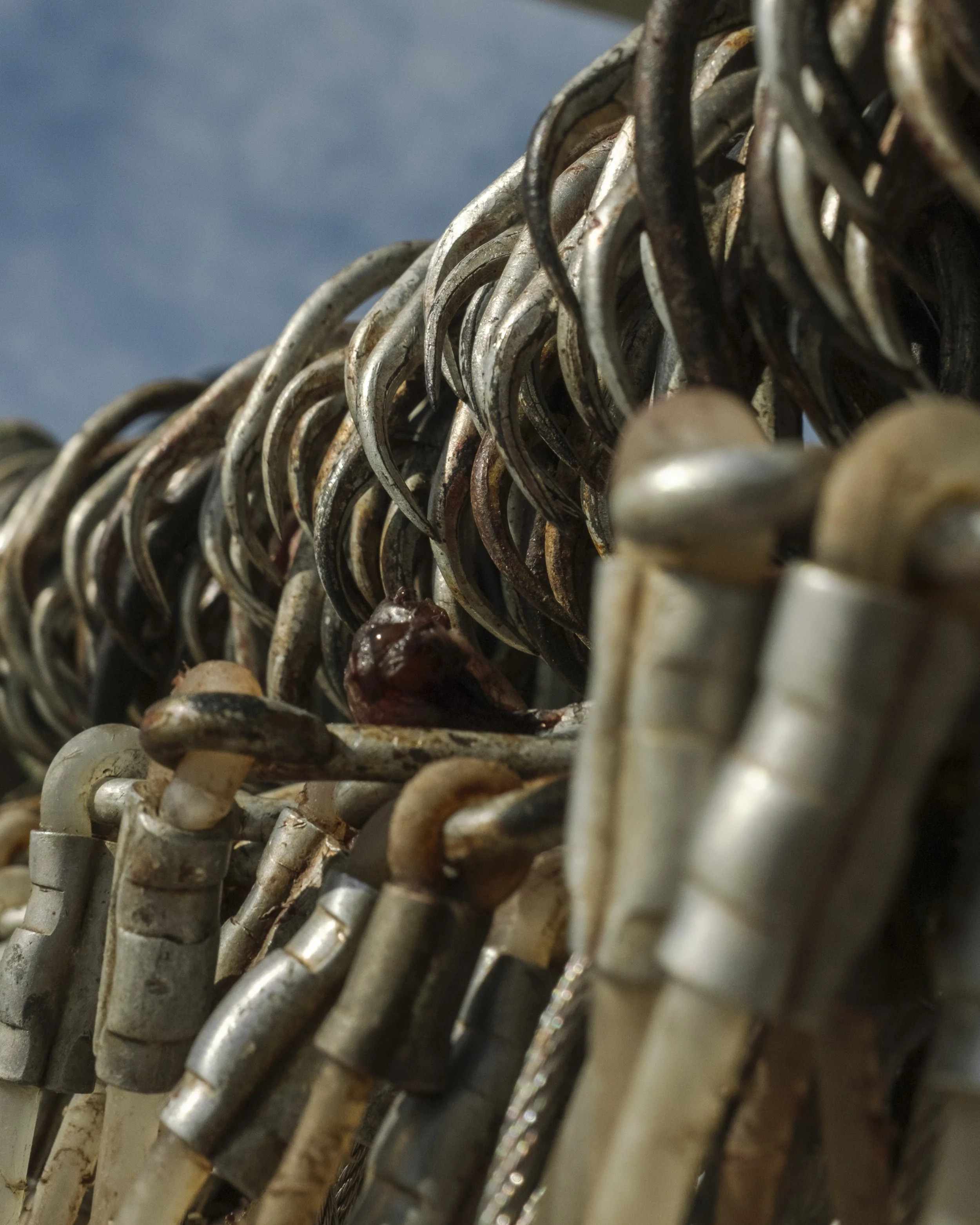 Close-up of numerous rusty and weathered padlocks attached to a chain-link fence, with a blurred blue sky in the background.