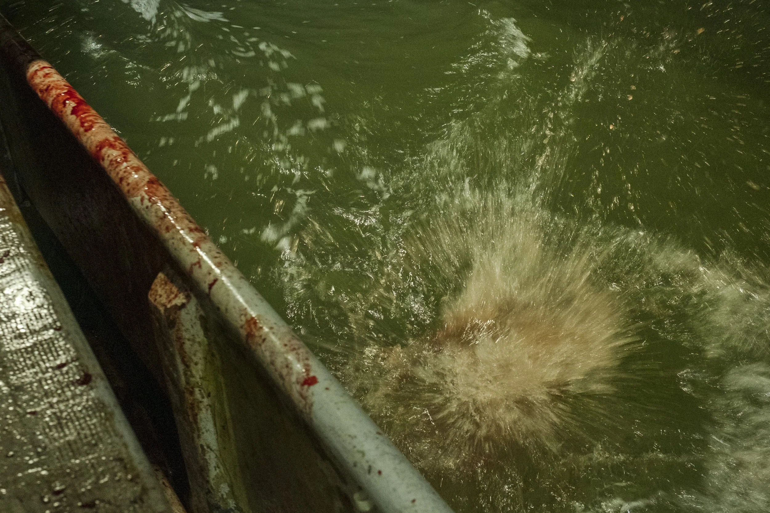 Close-up of turbulent water splashing in a green-colored water tank or container, with a rusty metal edge visible on the left side.