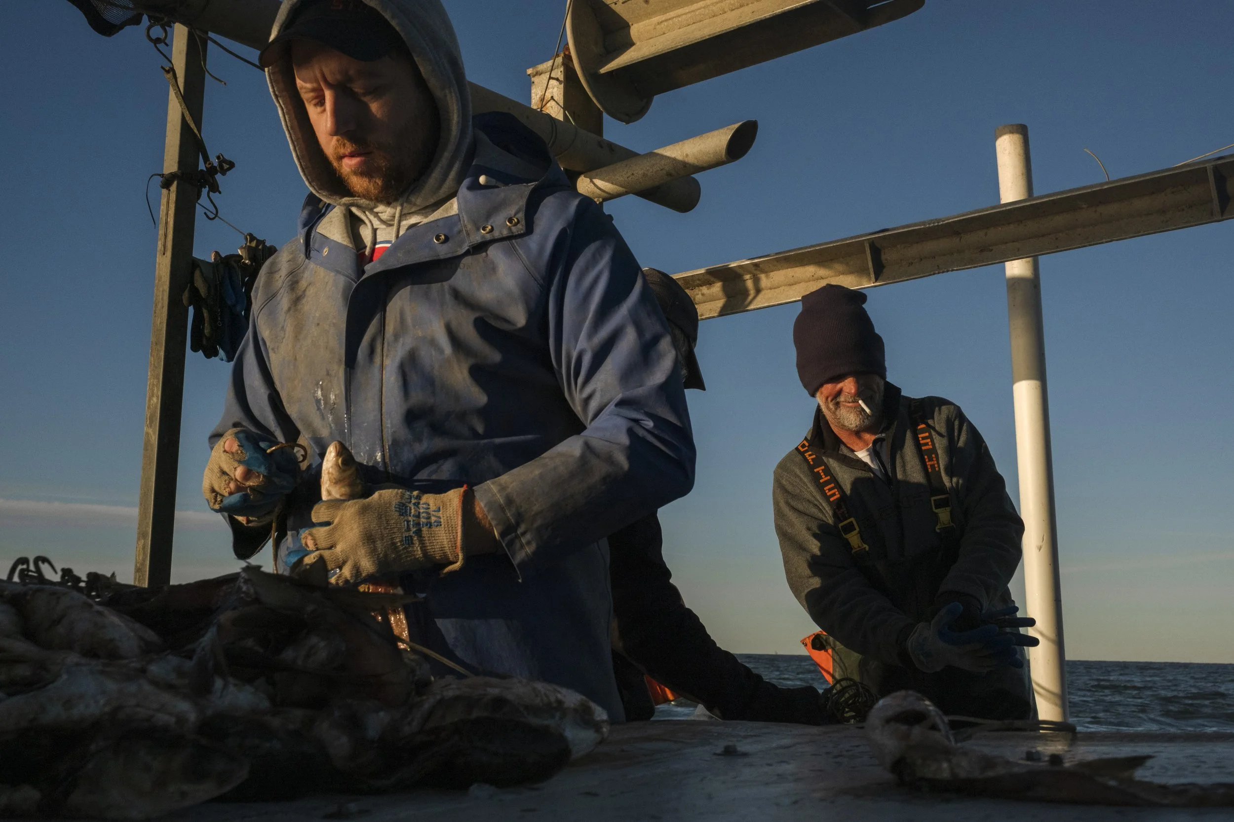 Two fishermen on a boat handling fish, with a blue sky in the background.
