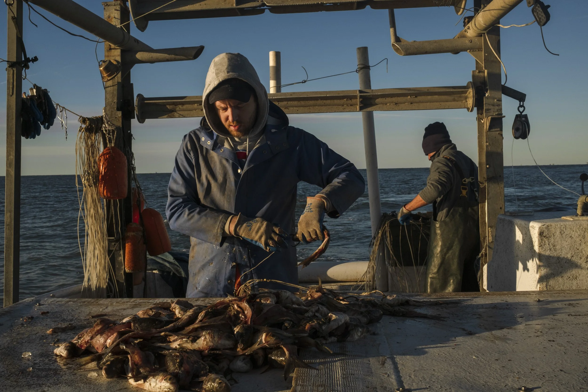 Two men working on a fishing boat handling fish caught from the sea, with the ocean and a clear sky in the background.