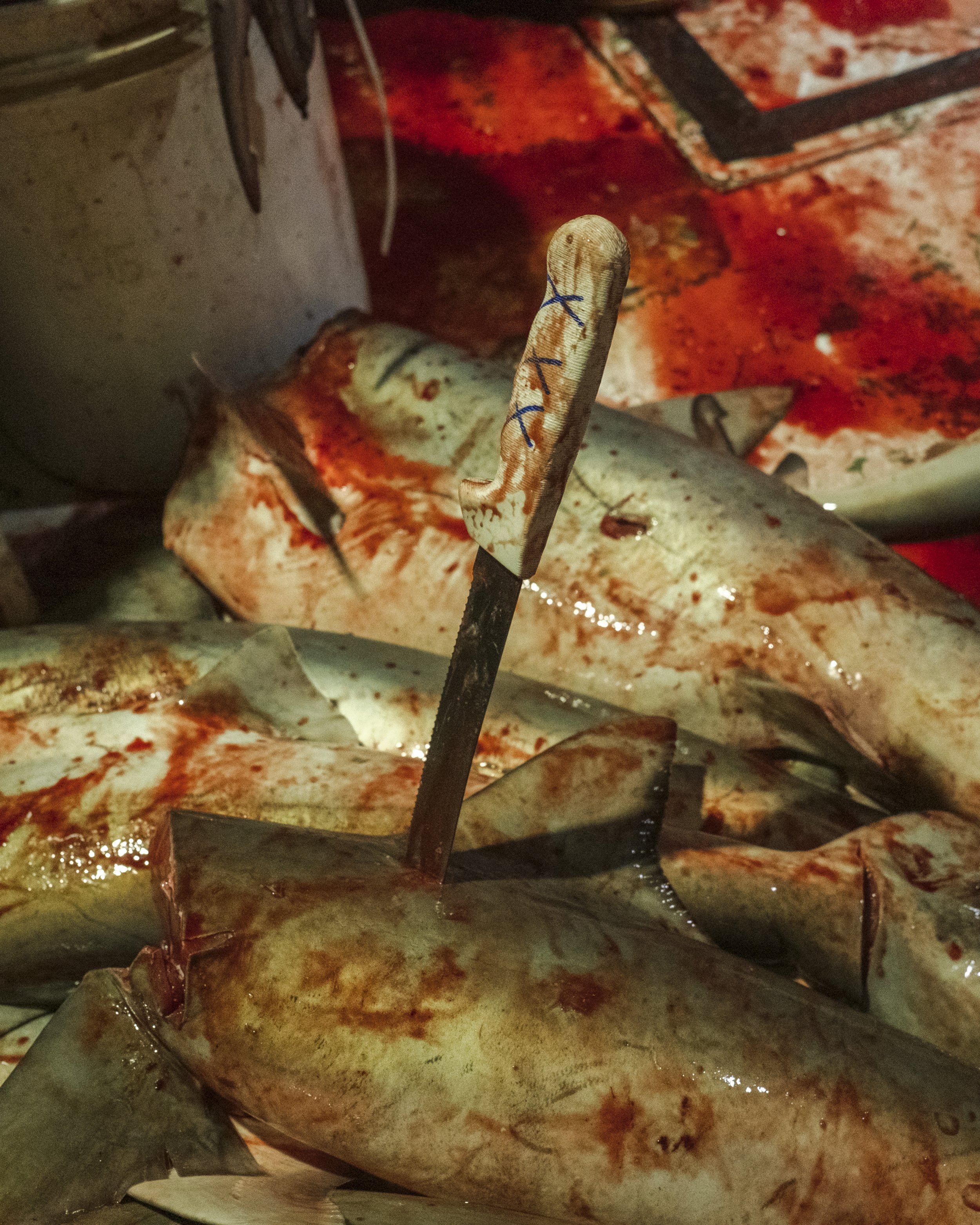 Fresh fish with blood and a fish scaler on a surface.