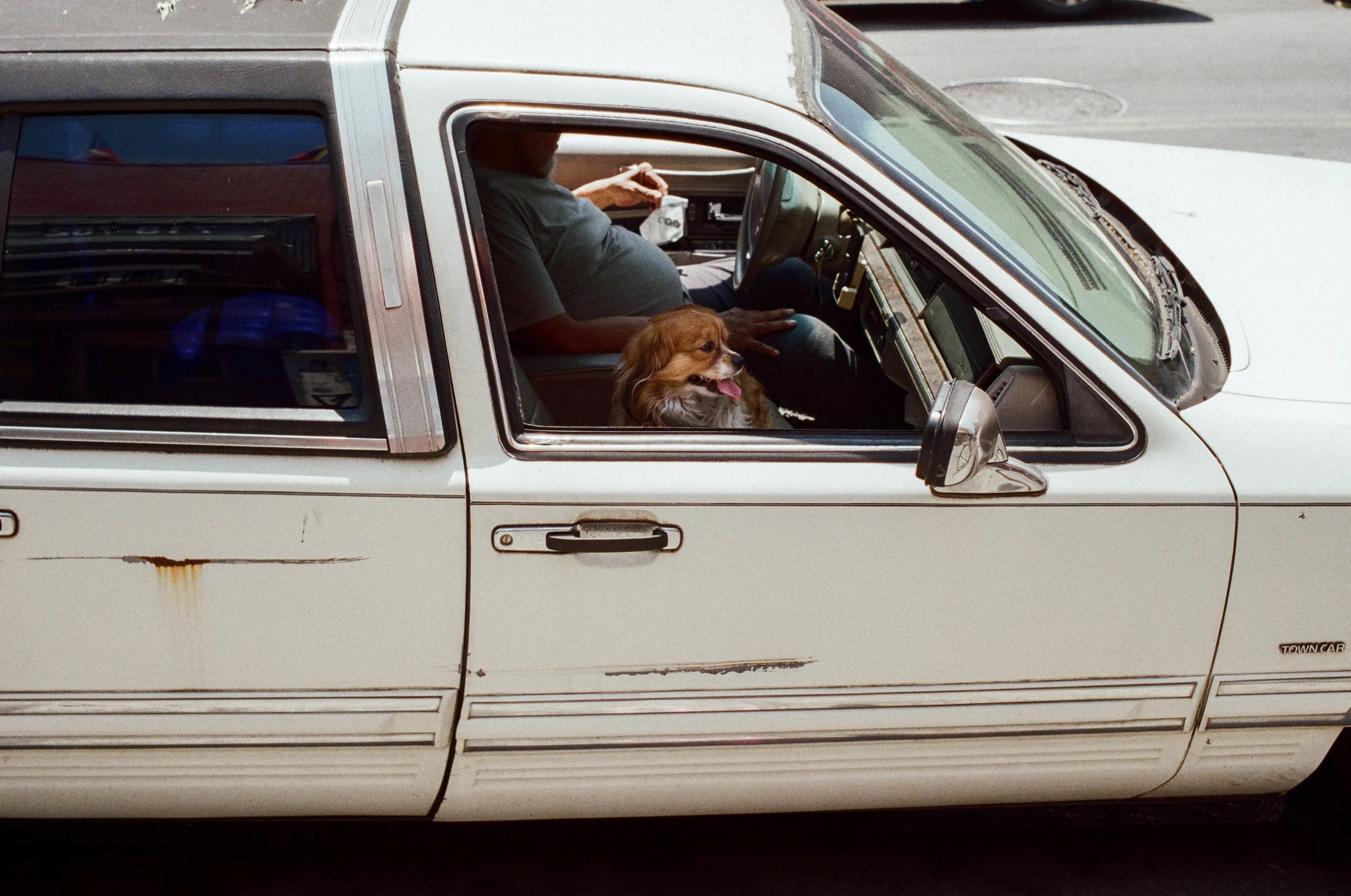 A white, older model car with visible rust and scratches. Inside, a person is sitting in the driver's seat with one hand on the steering wheel. A dog is sitting in the passenger seat, looking out the window with its tongue hanging out.