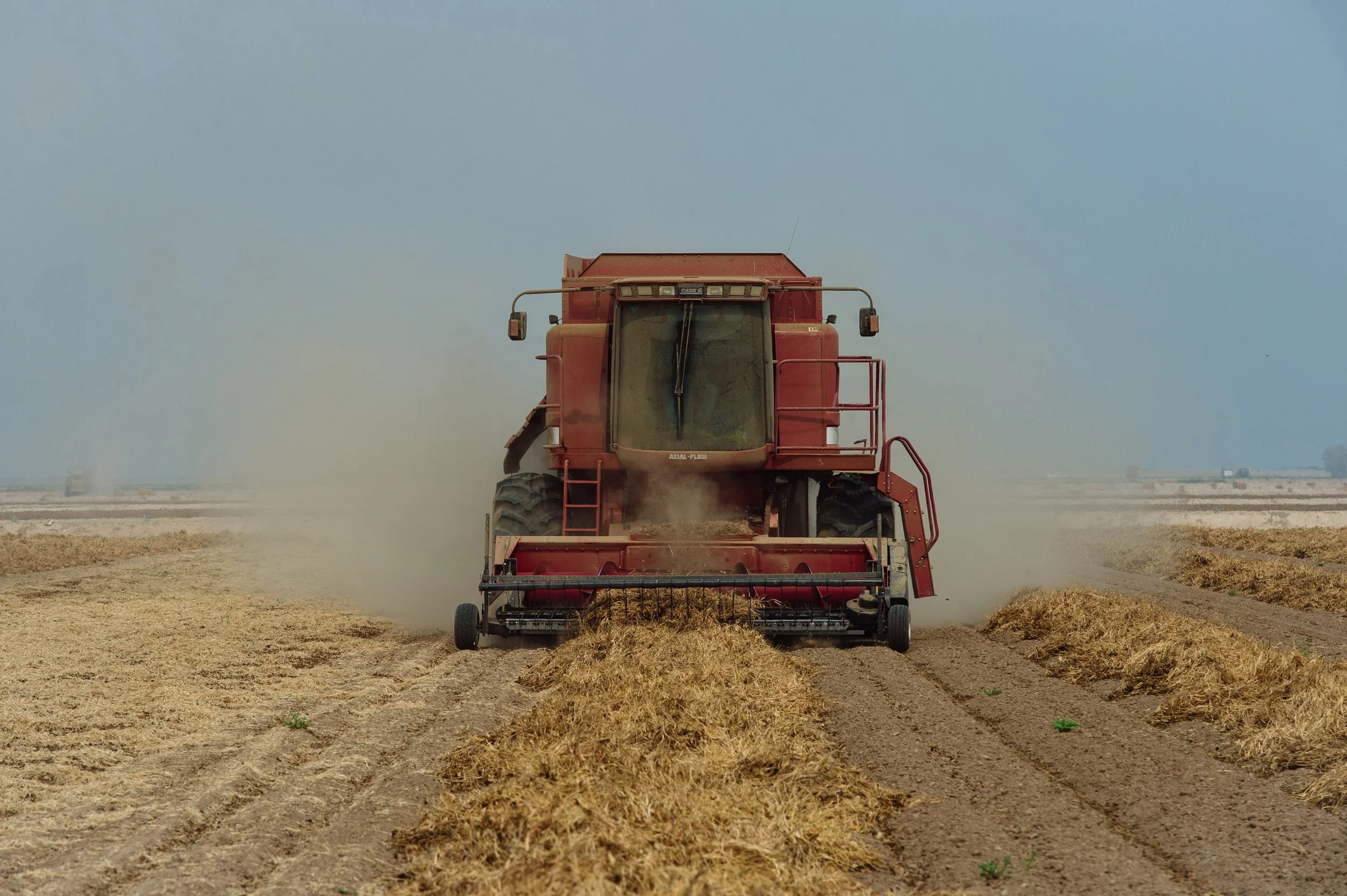 Red combine harvester working in a farm field during daytime, kicking up dust as it harvests crops.