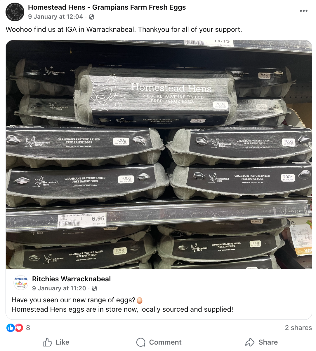 Multiple cartons of Homestead Hens farm fresh eggs on store shelves, labeled as 700g, 12 local pasture-raised, free-range eggs.