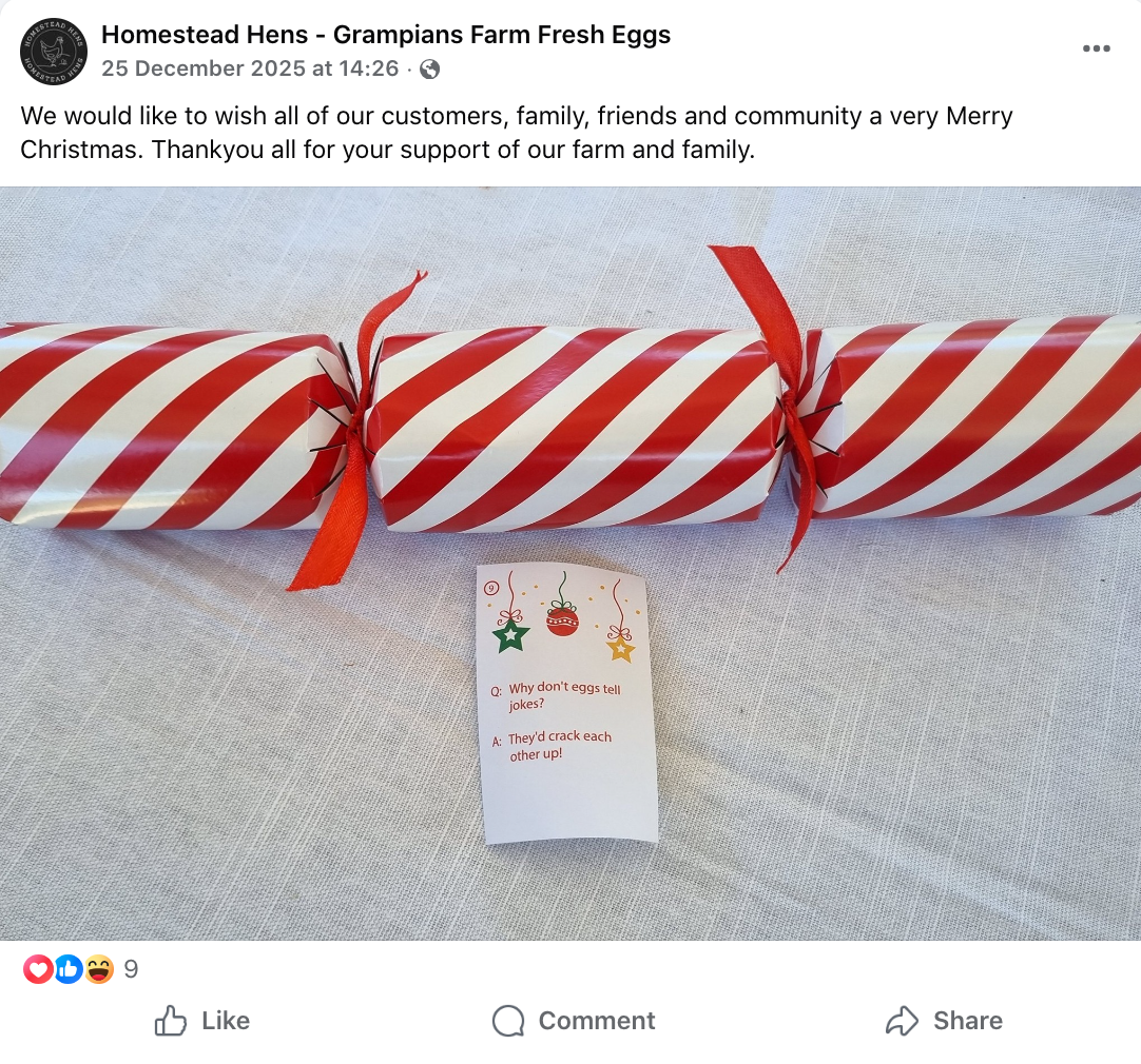 Three candy cane striped wrapped packages tied with red ribbons, and a small card with a Christmas joke about eggs cracking.