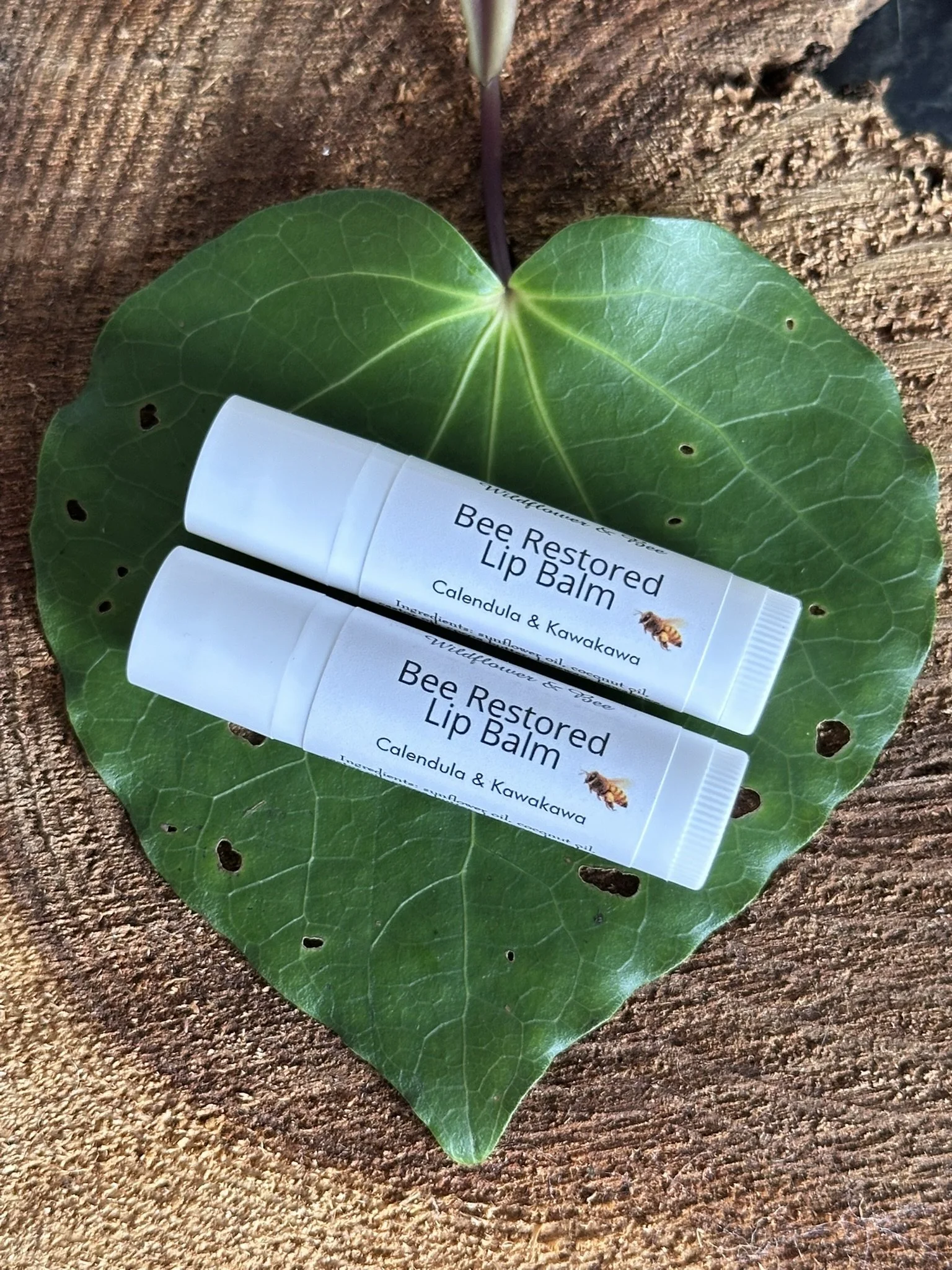 Bee Restored Lip Balm - Kawakawa and Calendula