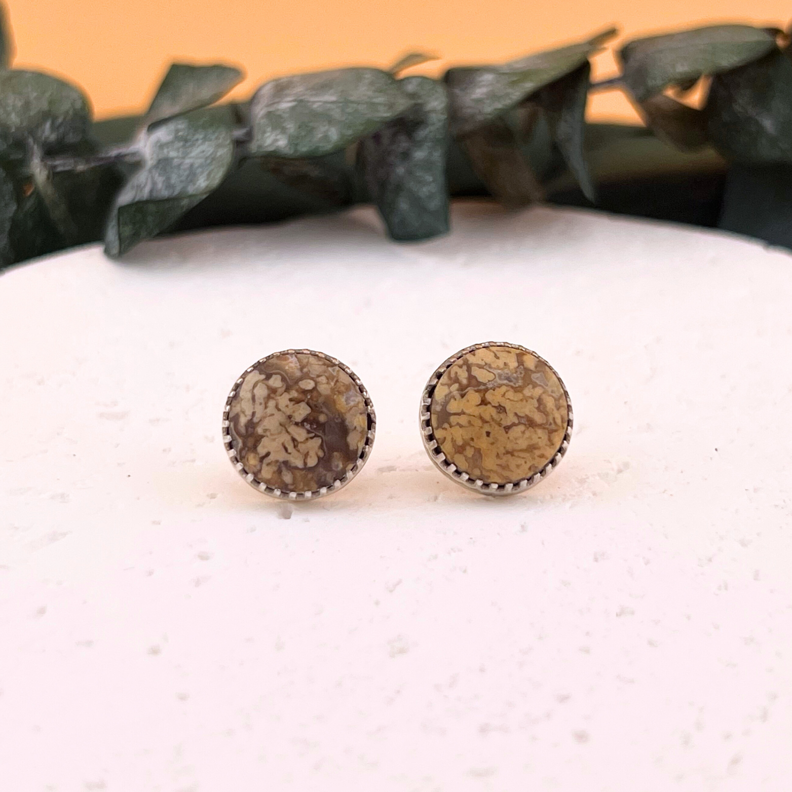 Extra webby fossilized palm root large sterling silver stud earrings.