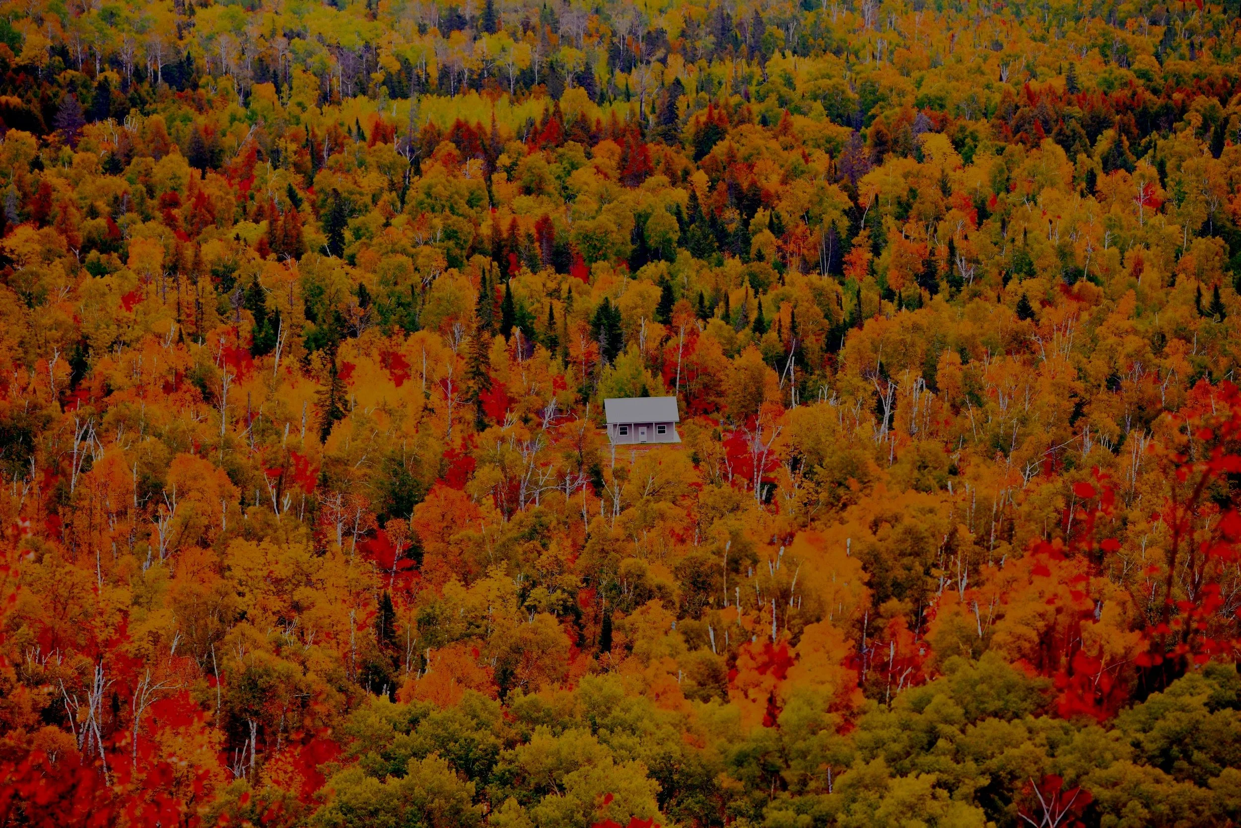 A small house with a gray roof nestled in a dense forest with vibrant autumn-colored trees in shades of orange, red, yellow, and green.
