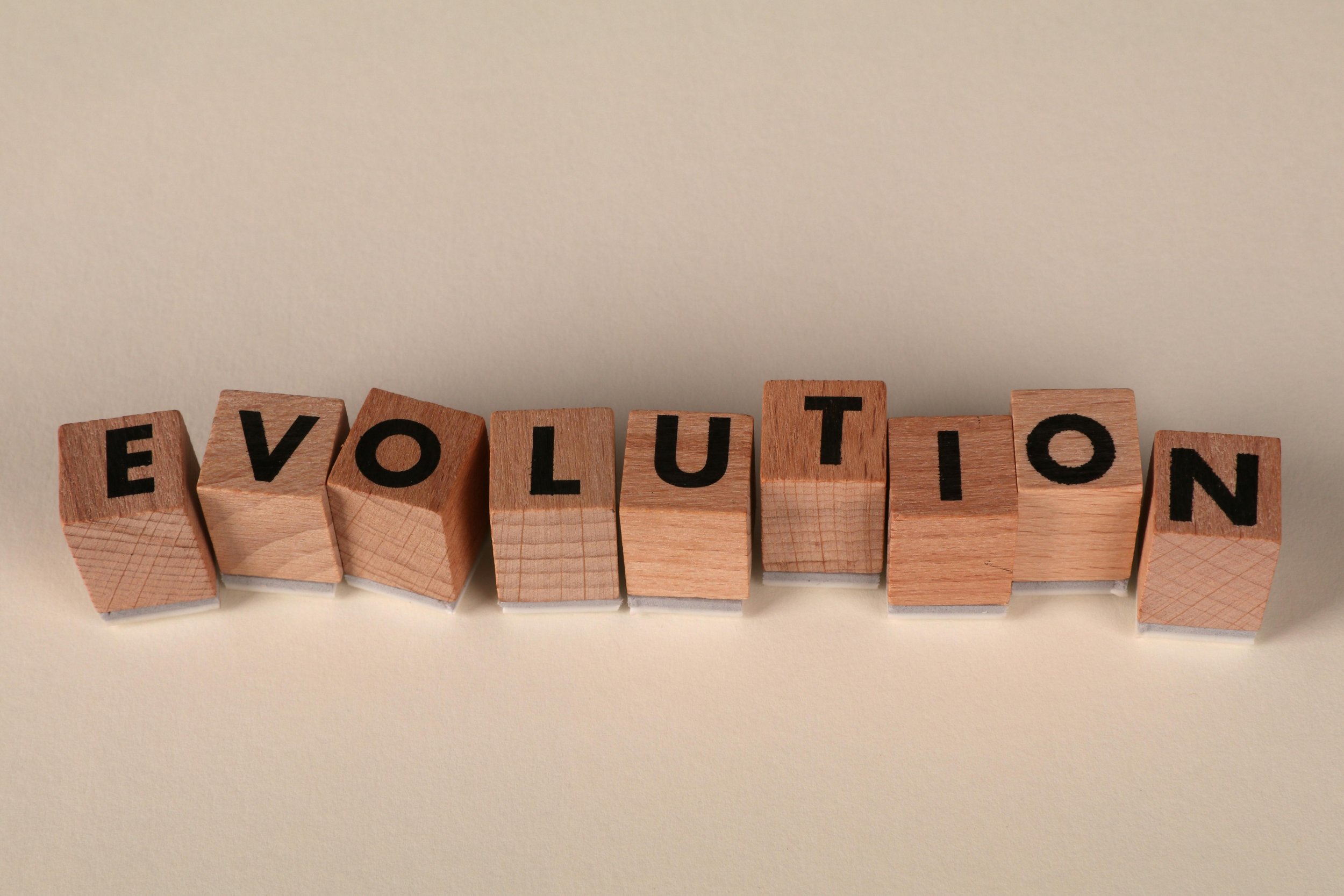 Wooden blocks spelling out 'EVOLUTION' on a cream-colored surface.