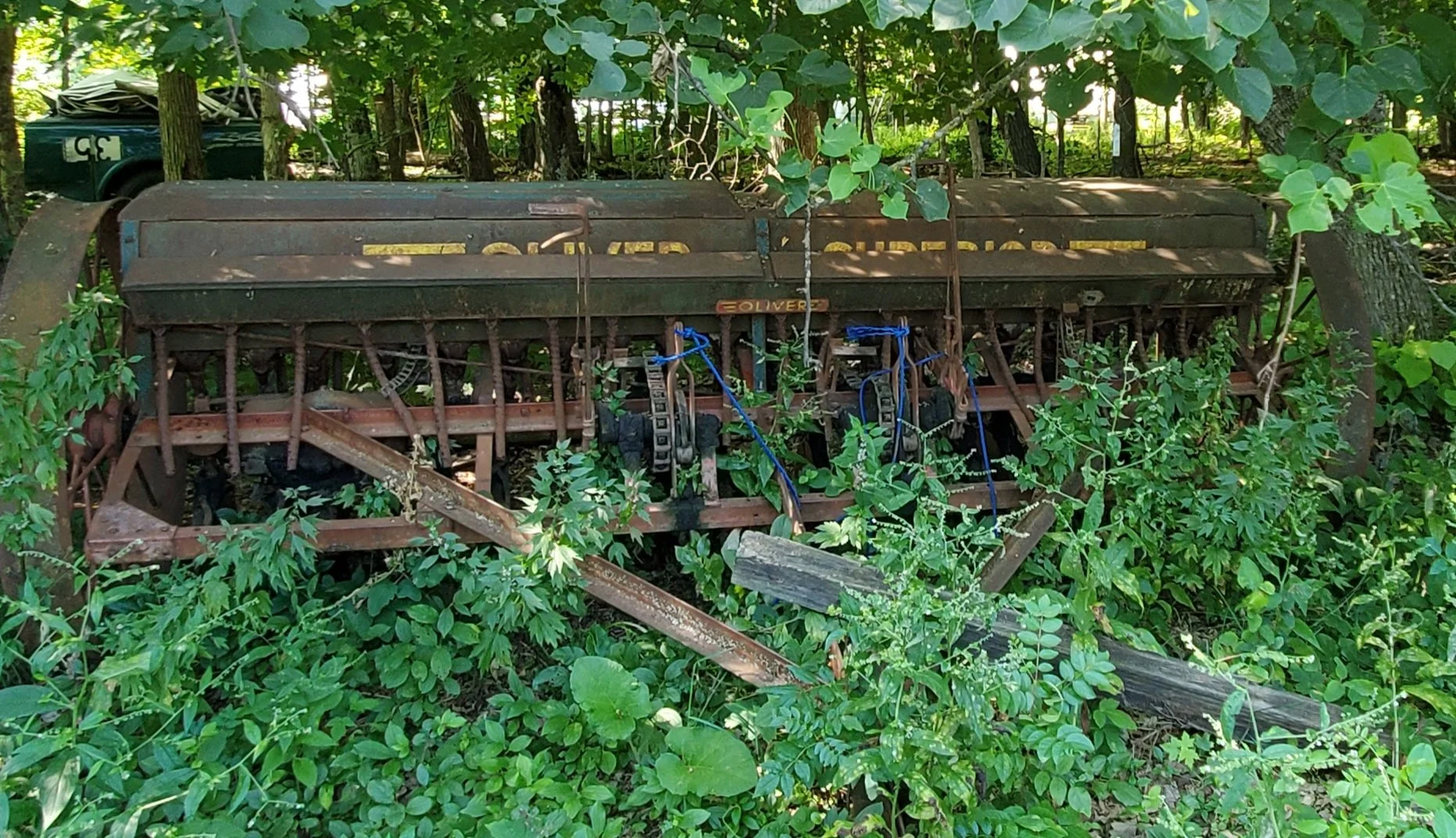 20260720_101833.jpg