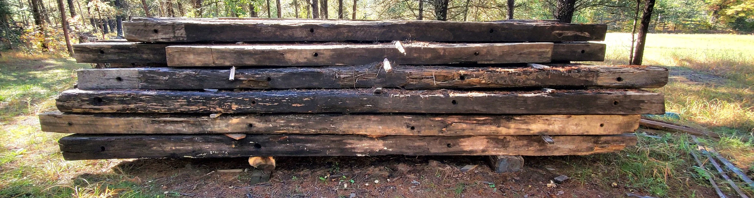 20260930_121947.jpg