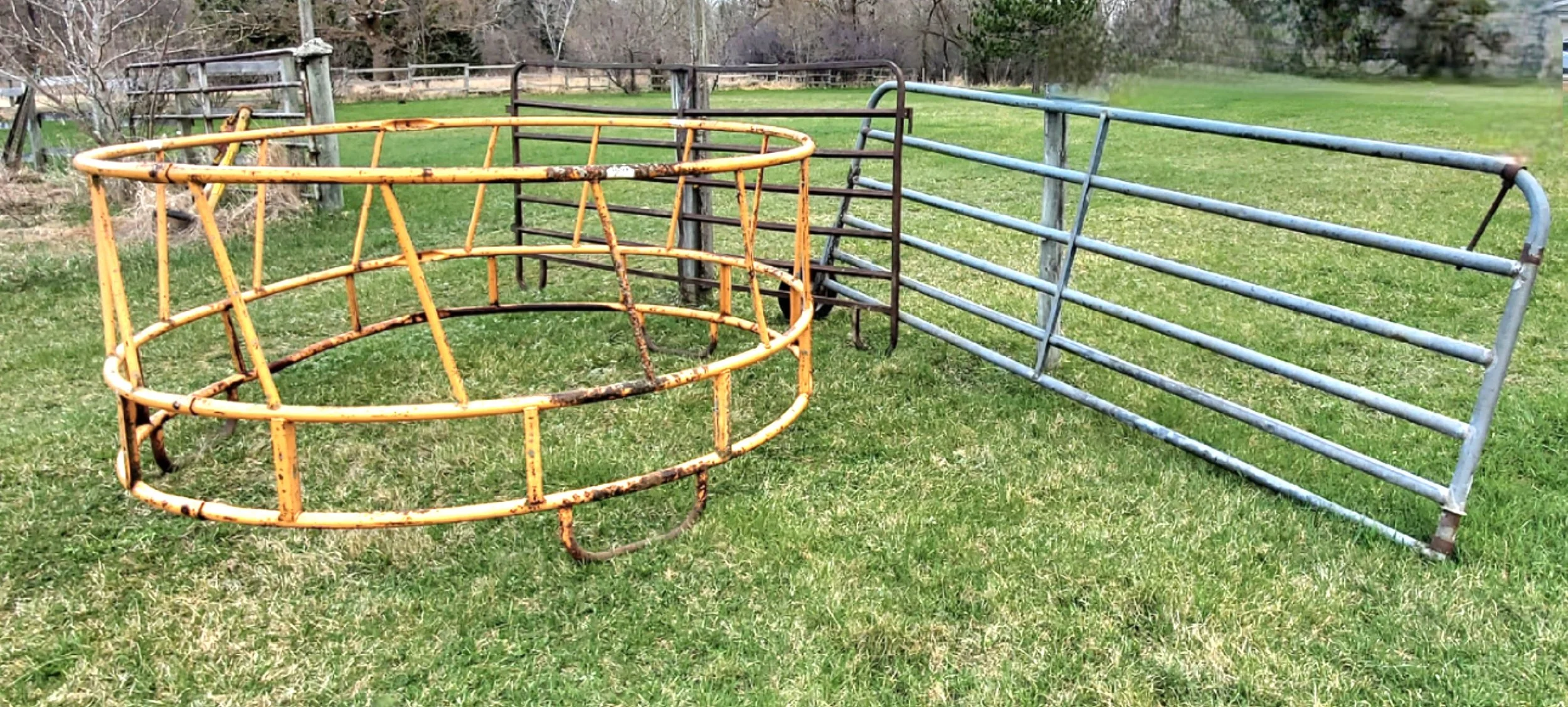 20260429_081609.jpg