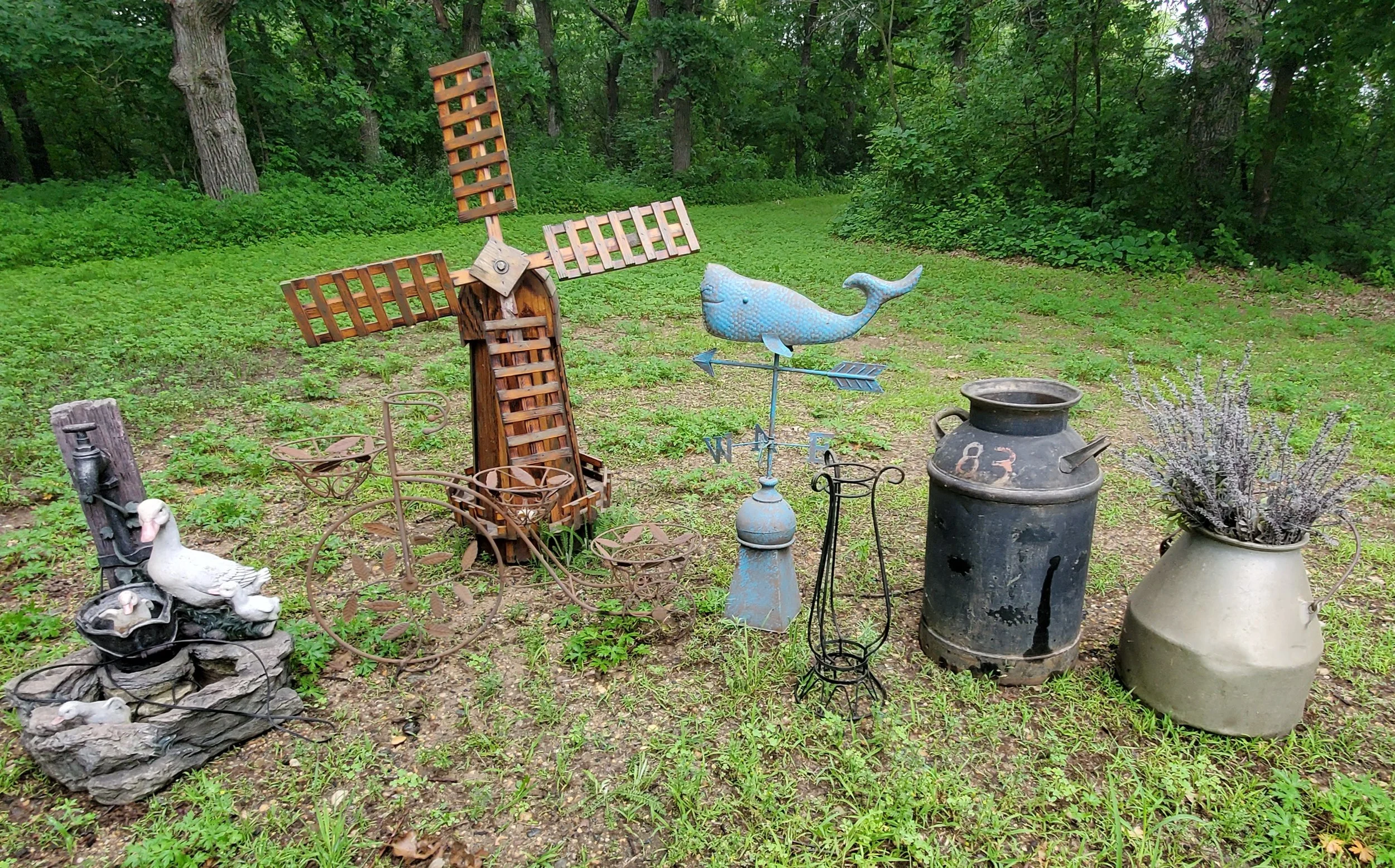 20260629_090157.jpg