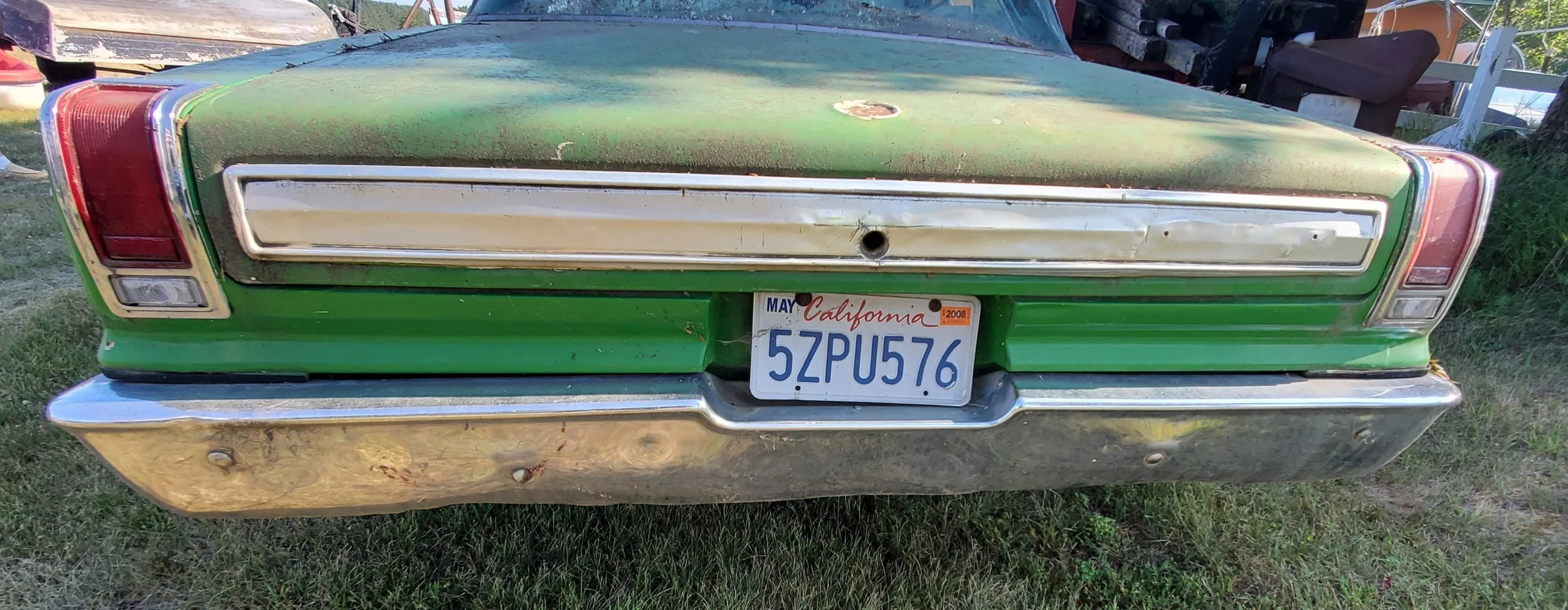20260727_084407.jpg