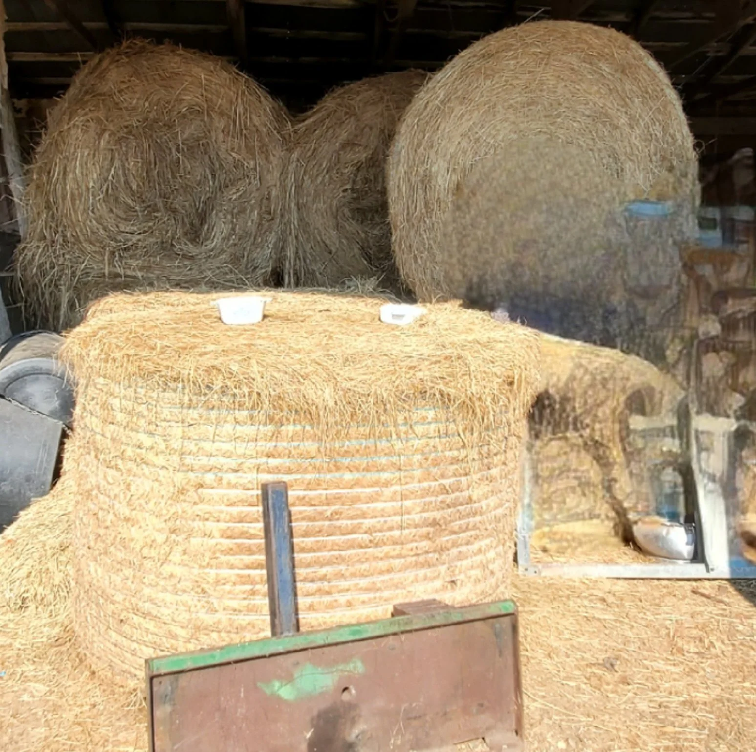 20260720_091953.jpg