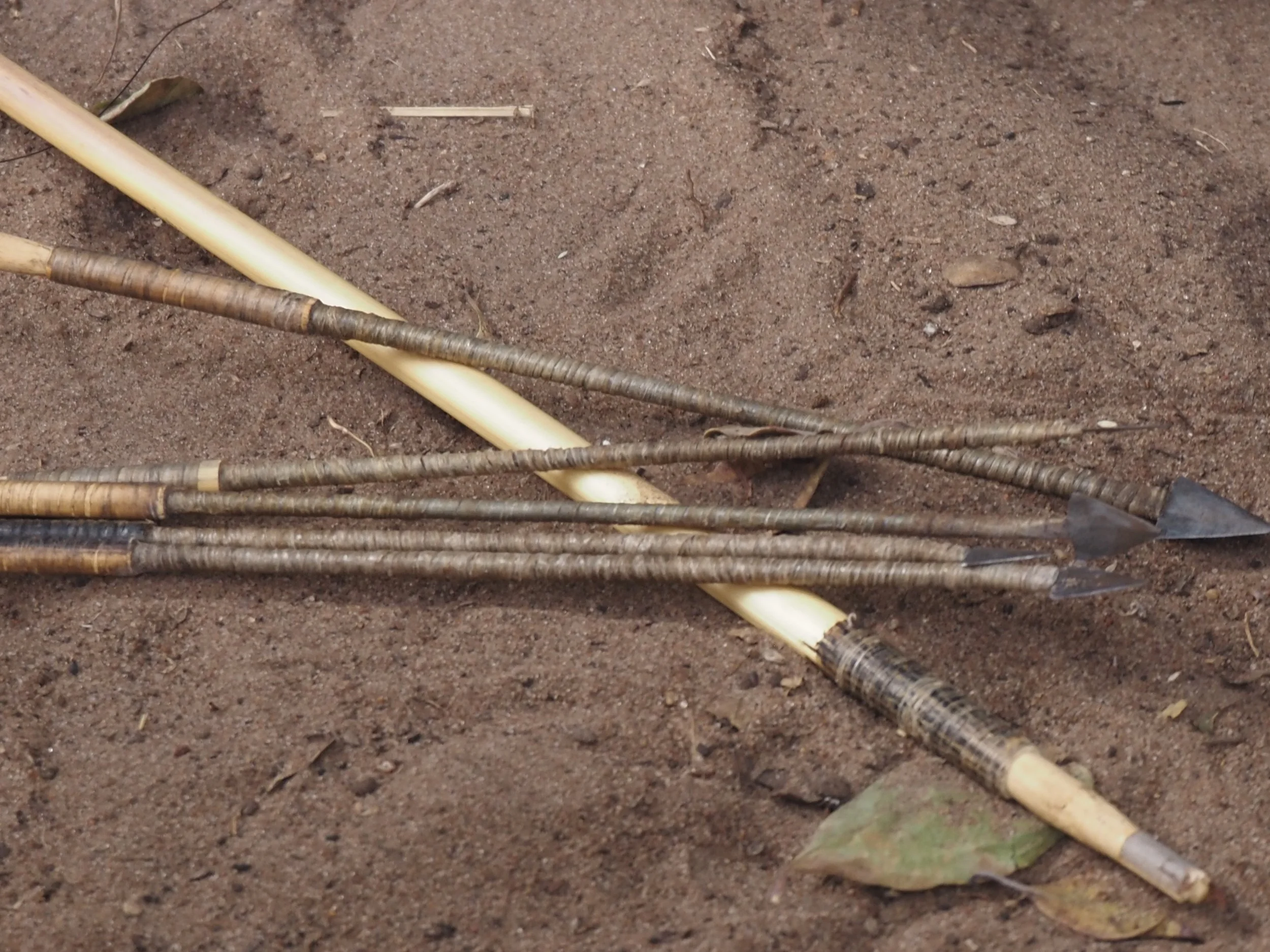 A collection of sticks and twigs scattered on brown dirt ground.