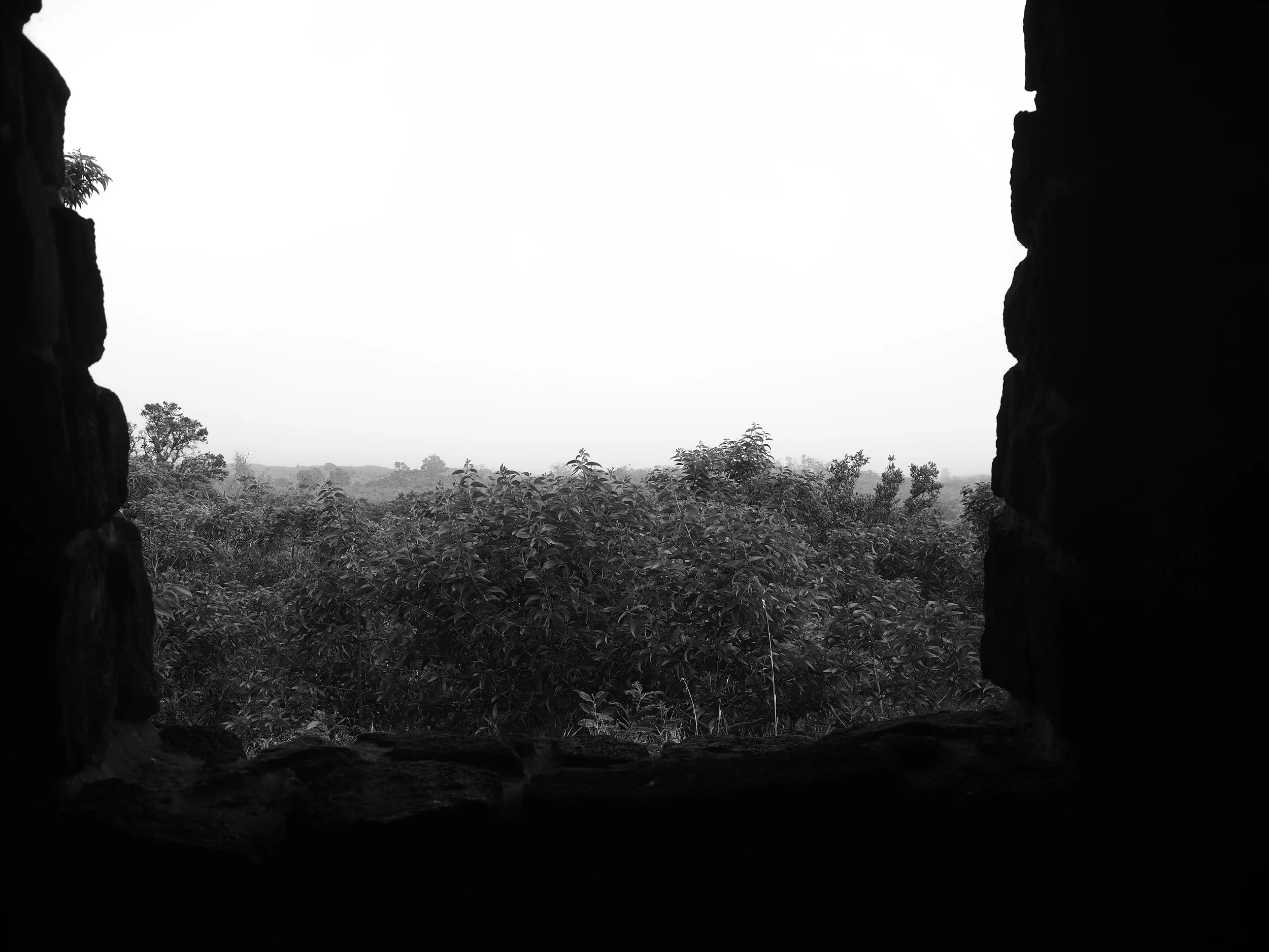 trees through rock window in Hawaii black and white
