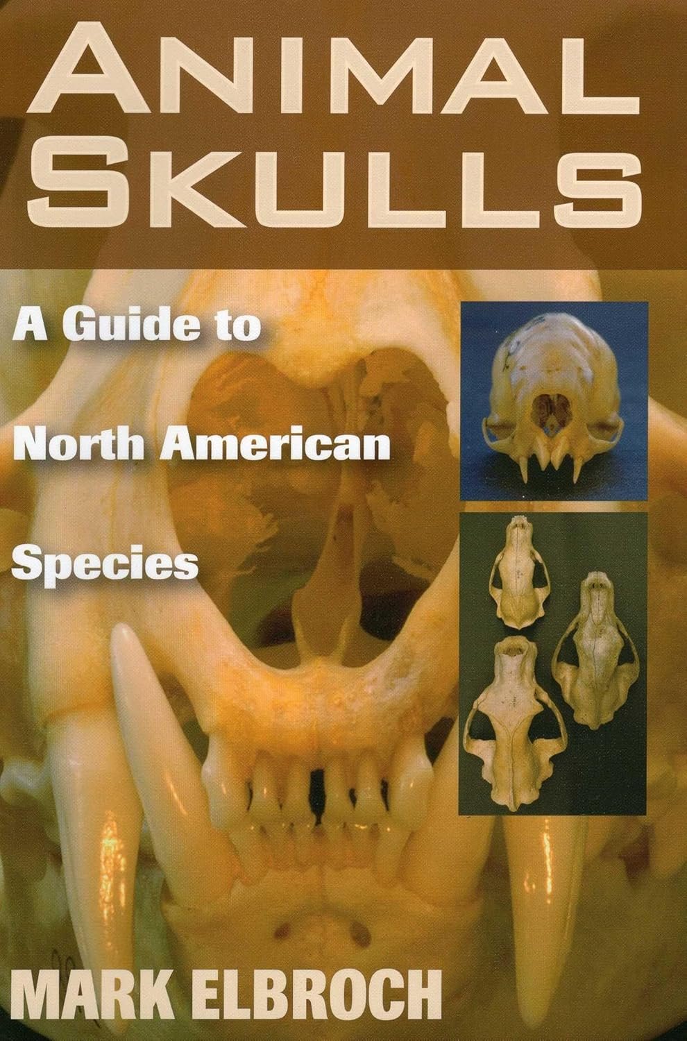 Book cover titled "Animal Skulls: A Guide to North American Species" by Mark Elbroch, featuring a large image of an animal skull in the background and smaller images of three different skulls on the right side.