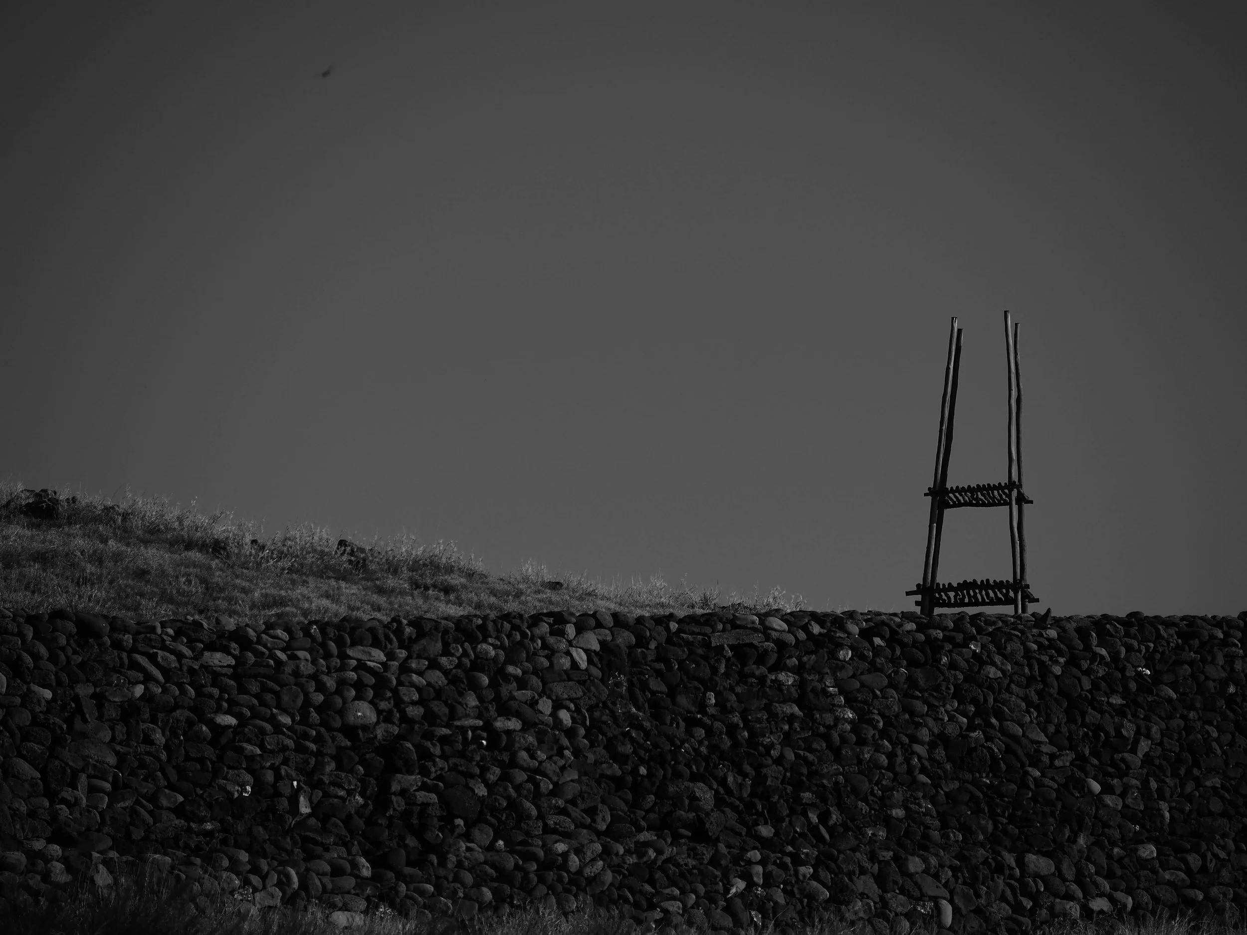 Ancient rock structures and ladder in Hawaii black and white