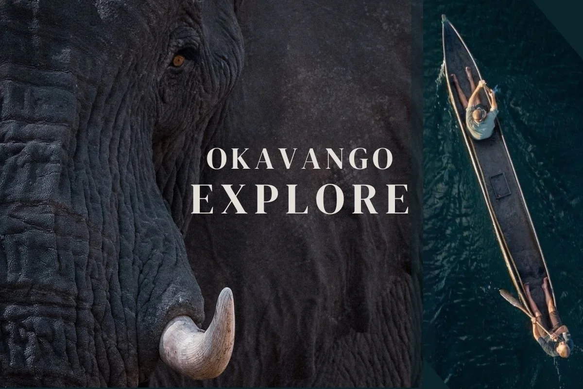 Okavango Explore - National Geographic, Wild Bird Trust, Earthviews (photo courtesy National Geographic)
