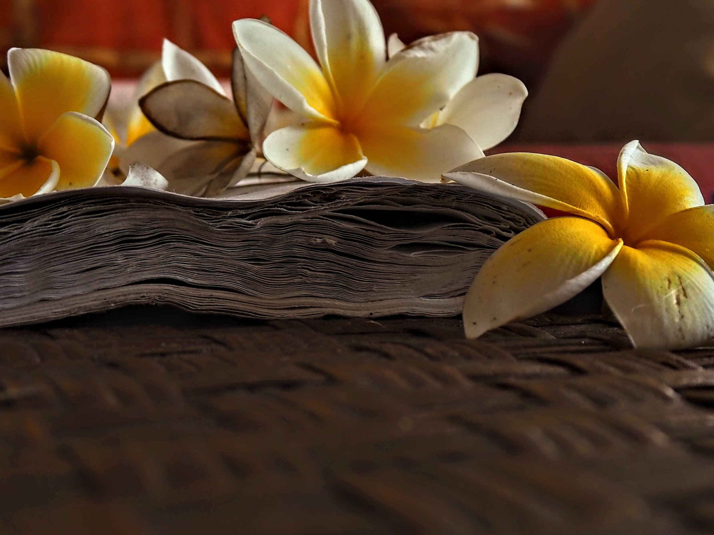 flowers and wet book