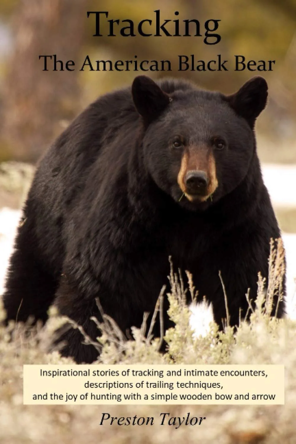 A black bear standing in a field of tall grass with trees in the background, indicating it is in the wild.