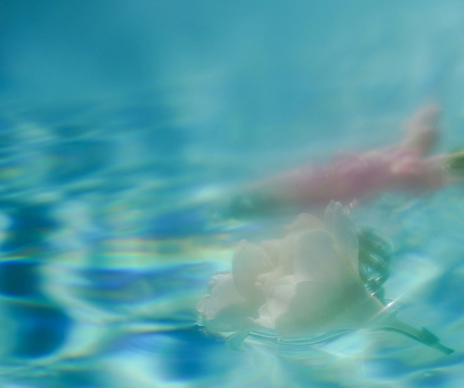 ❹ Vibe-Checked Virtual Co-Working Sessions