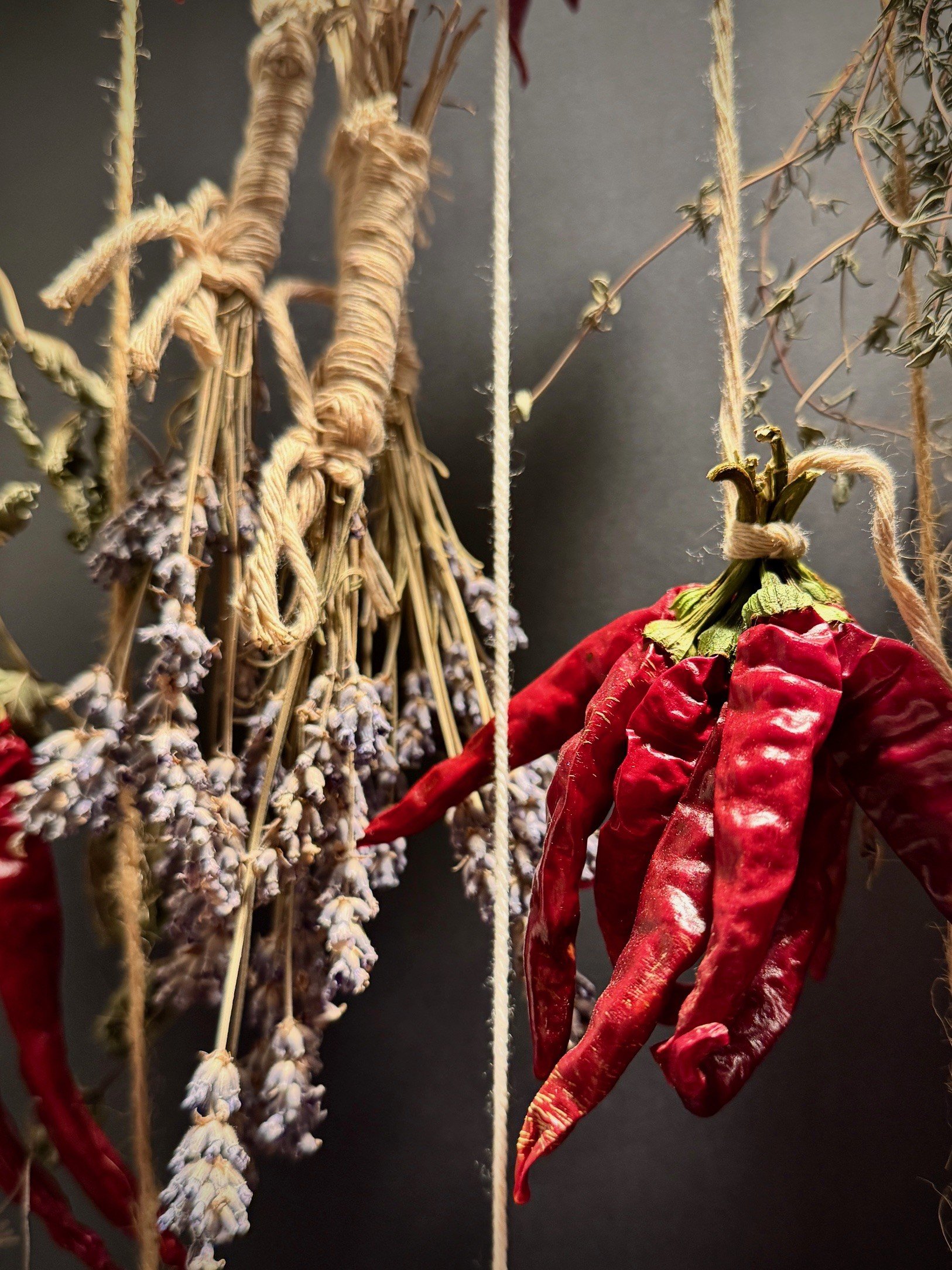 A bunch of dried lavender and red chili peppers hanging from strings against a dark background.