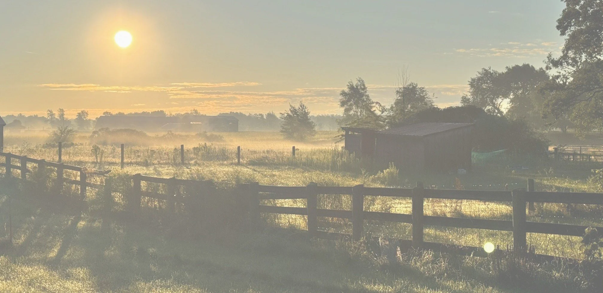 Sunrise over a rural farm landscape with a wooden fence, trees, and a small barn or shed, with dewy grass and morning mist.