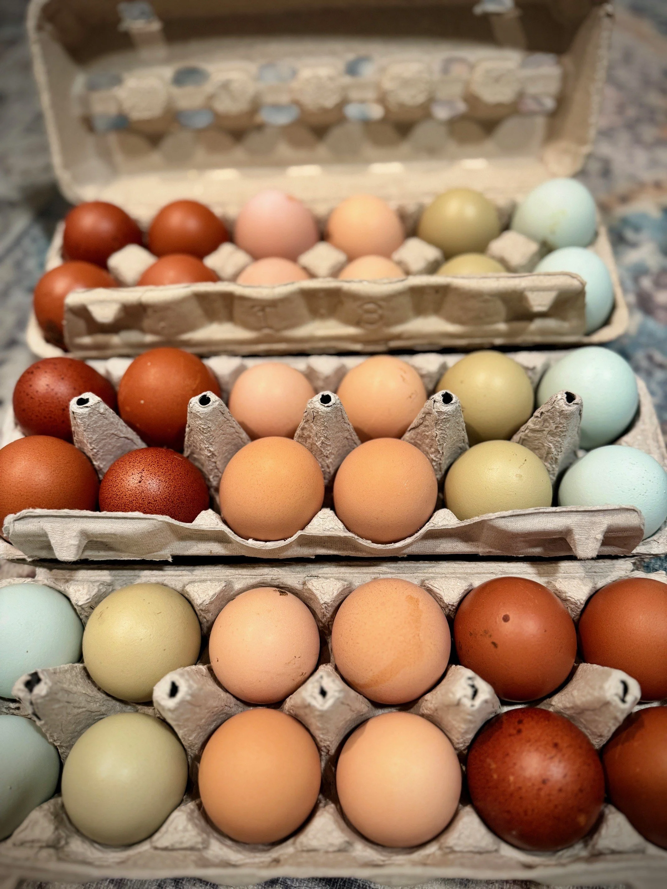 Several cartons of eggs in various brown, white, and pale blue colors, arranged on a countertop.