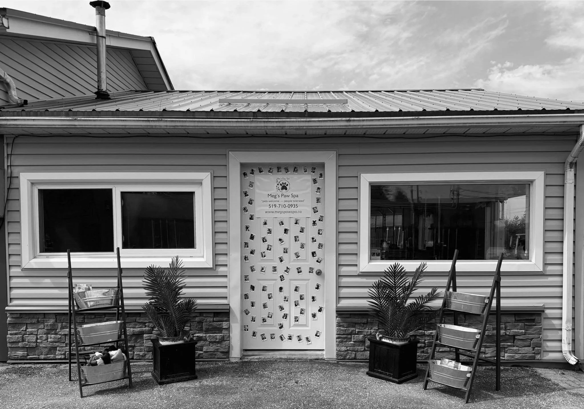Black and white photo of the front of Meg's Paw Spa, a pet grooming business. The building has vinyl siding, stone accents at the bottom, two large windows, and a door in the center. The door is decorated with numerous small photos of animals. There are two potted plants and two stacked chairs outside.