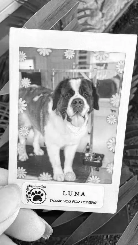 Photo of a dog named Luna inside a floral border frame, standing on a table. The photo has a label that says "Mag's Paw Spa," expresses thanks for visiting, and features a paw print graphic. The background appears to be a pet grooming or spa setting.
