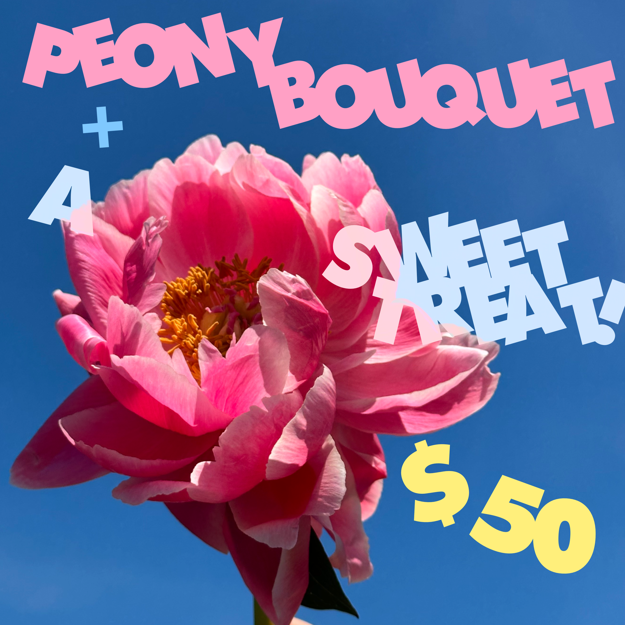 Peony Bouquet + A Sweet Treat