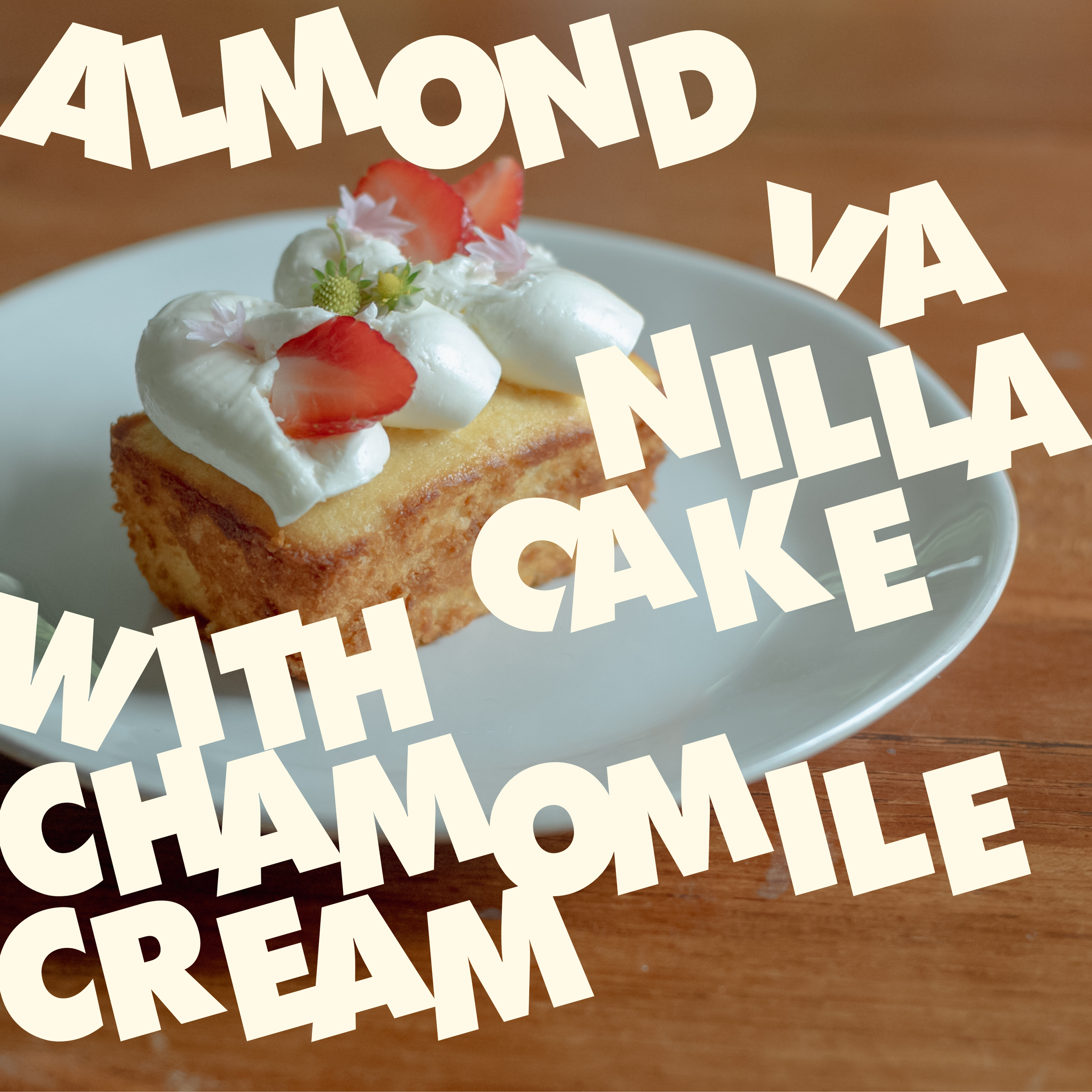 Untitled_Artwork 49.png