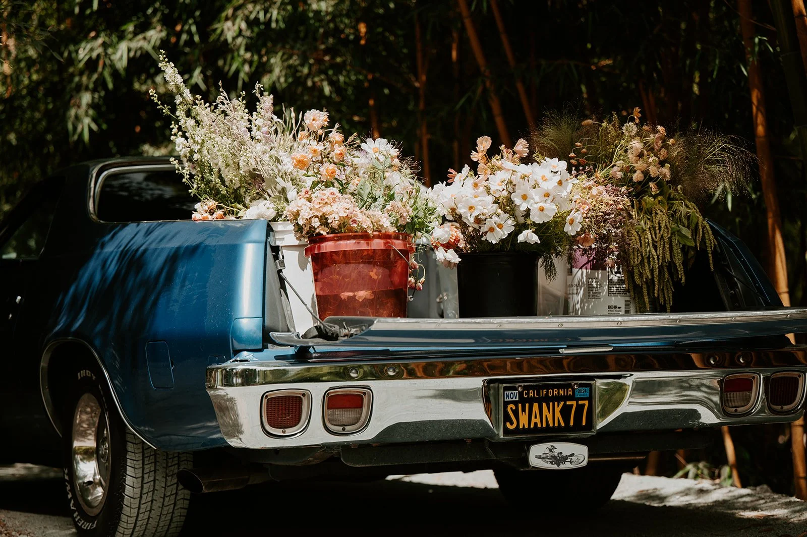 Desertbornstudios- Santa Cruz- Wedding_-16_websize.jpg