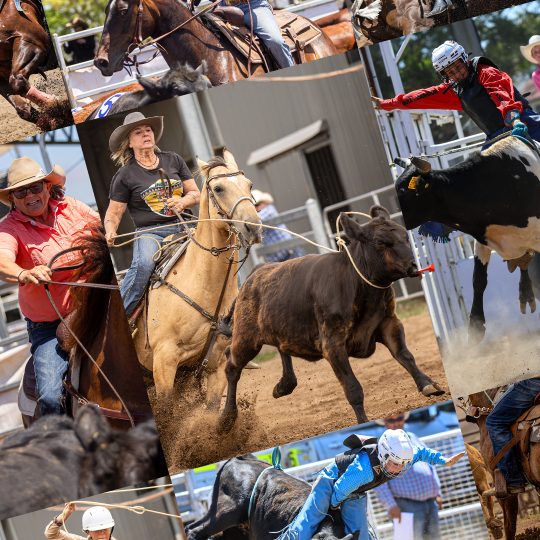 Collage of rodeo scenes, including cowboy and cowgirl riding bucking bulls and horses, and contestants roping cattle.