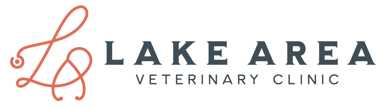 Your Site Title