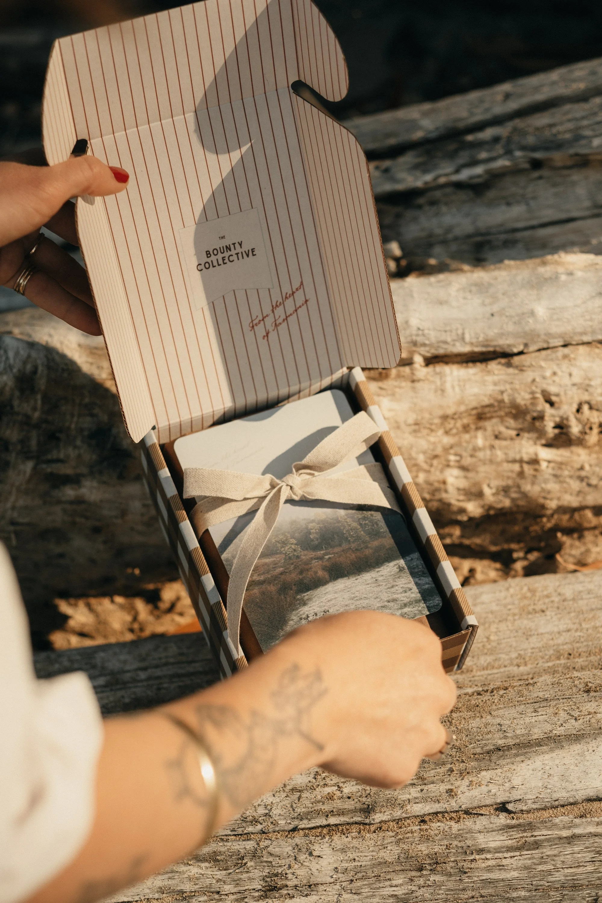 bounty-collective-15.jpeg