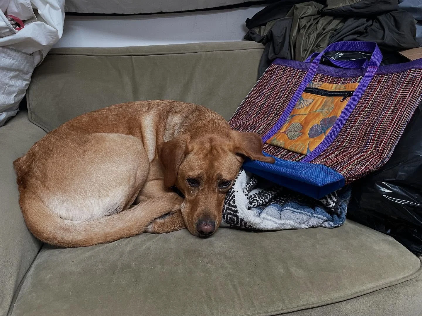 &ldquo;Quit sewing already and take me to the beach with one of these things.&rdquo;