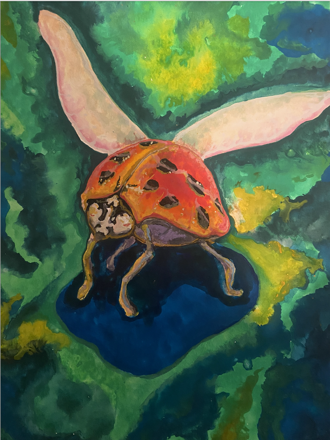 Screenshot 2026-02-17 at 3.06.33 PM.png