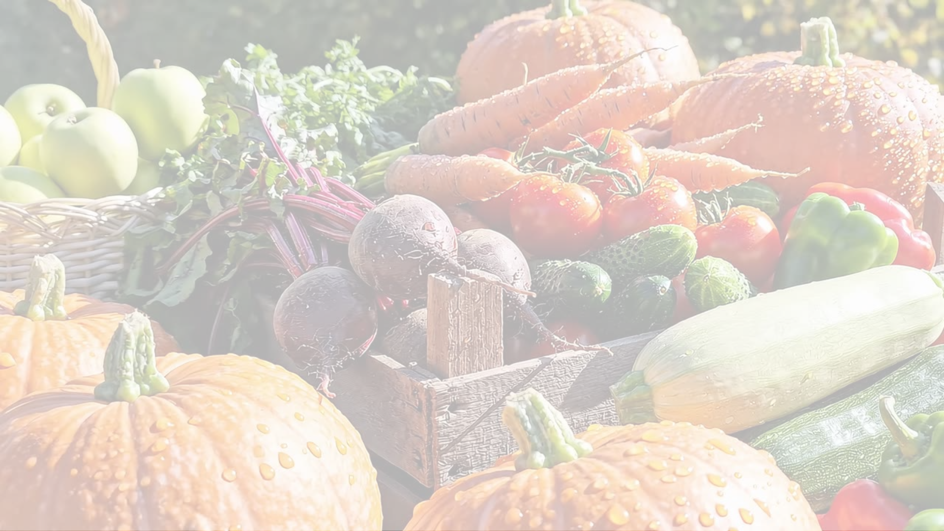 Neighborgoods web intro vid lighter.png