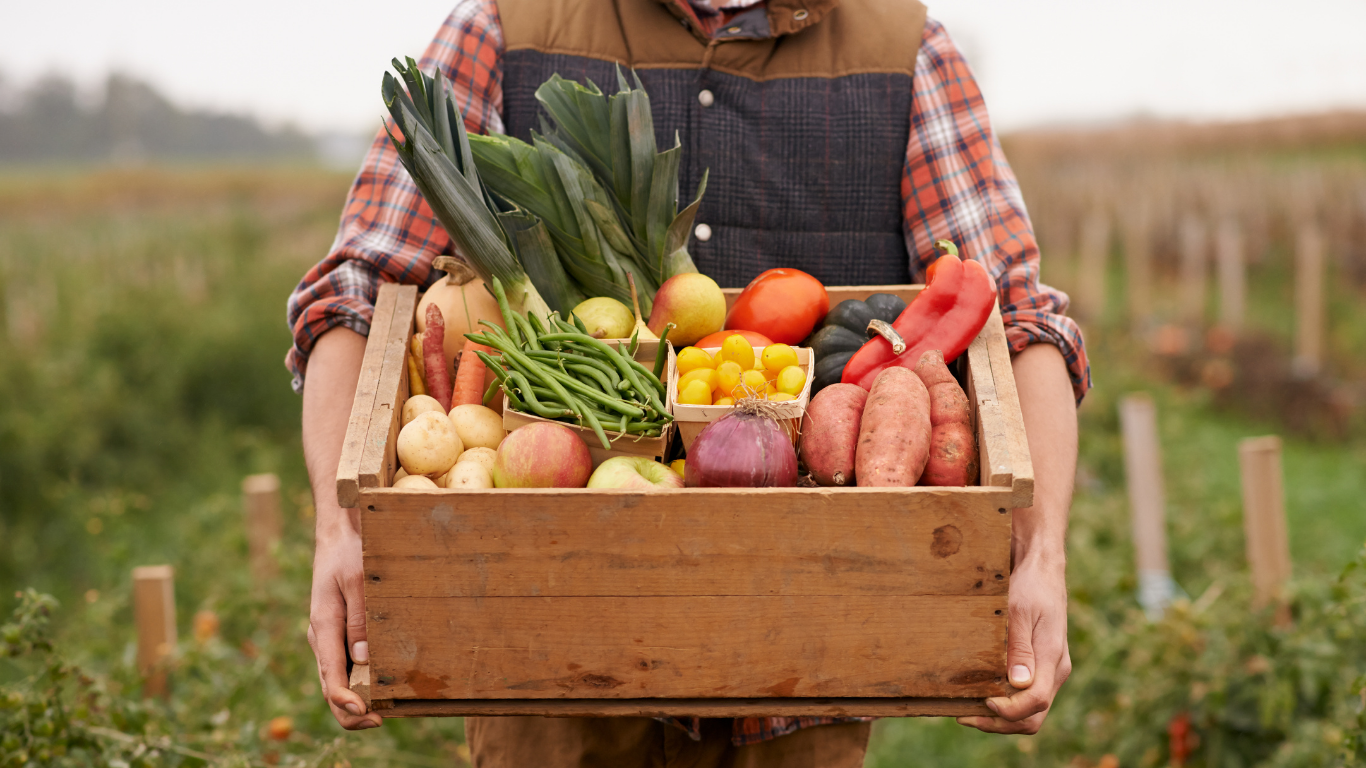 Farmer in flannel and a vest holds wooden crate of fresh produce with blurred farm in the background.