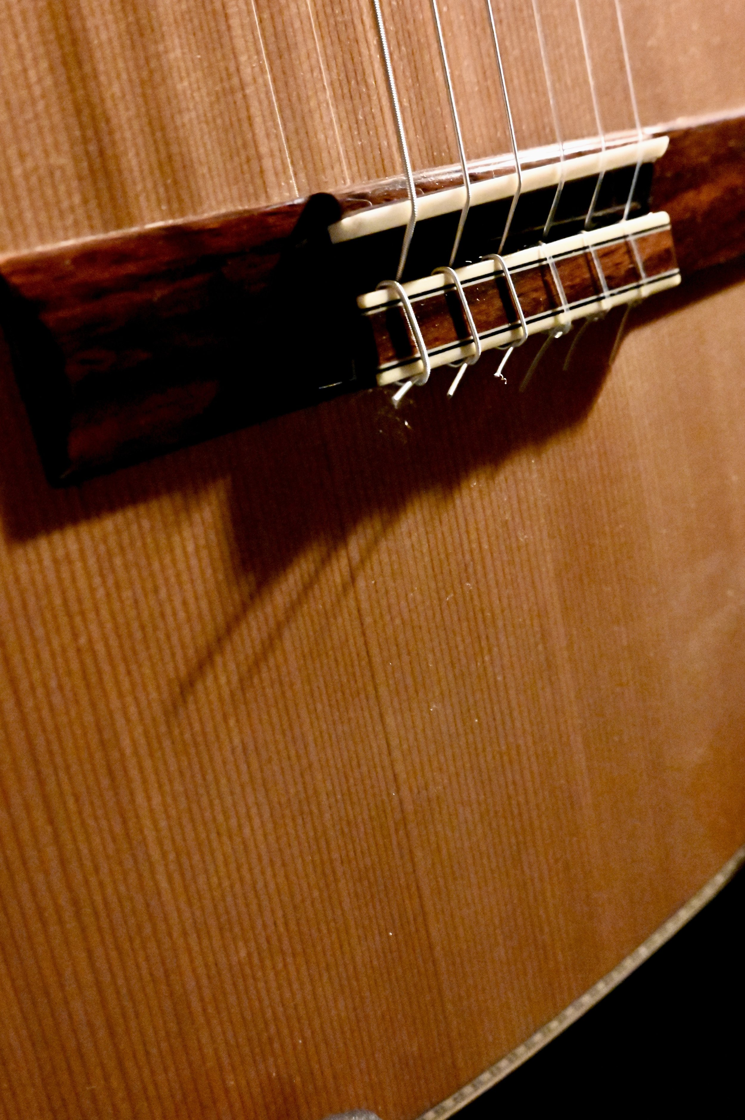 Close-up of the strings and bridge of an acoustic guitar with a wooden body.