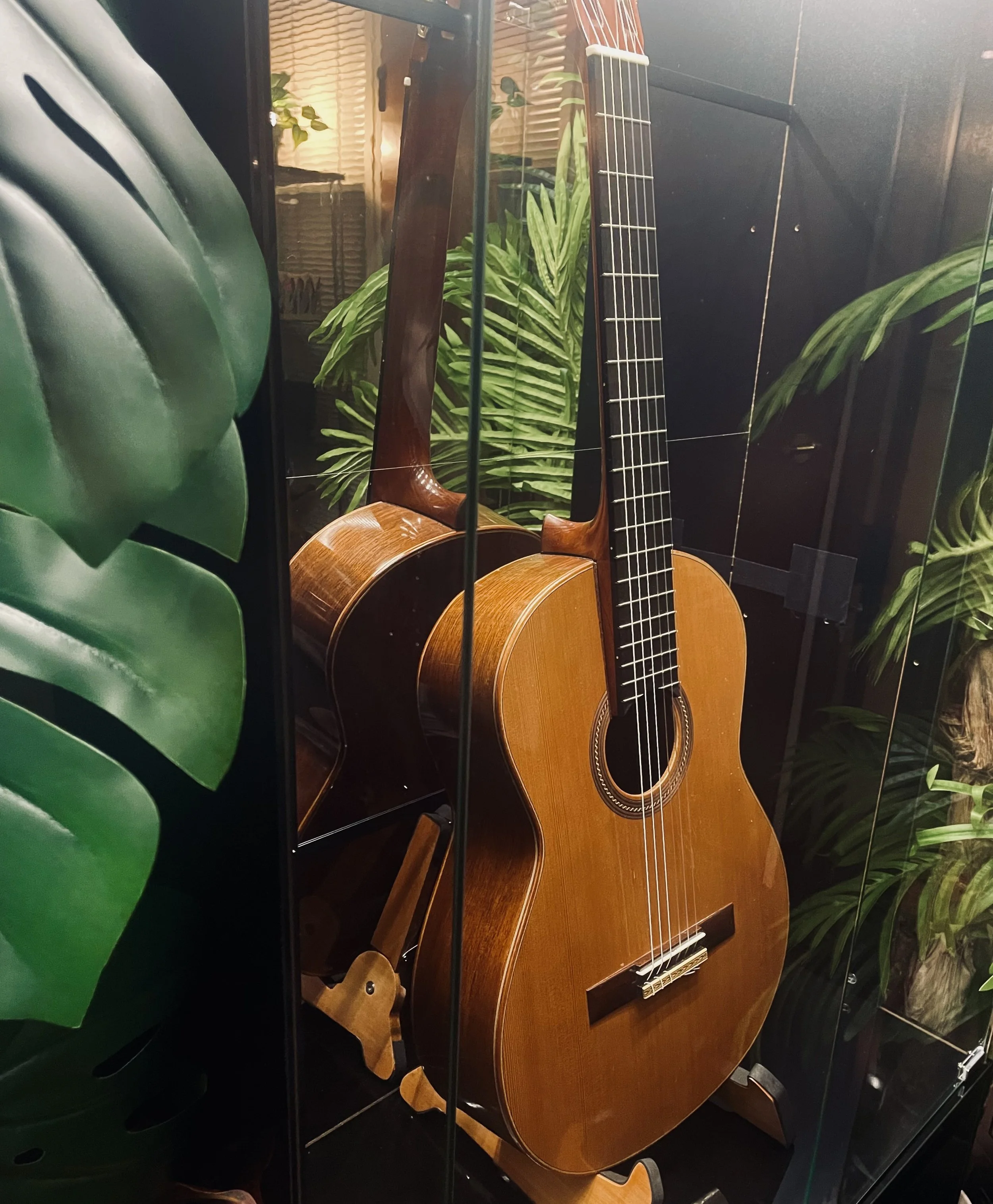 An acoustic guitar displayed inside a glass case, surrounded by green plants and a dark background.