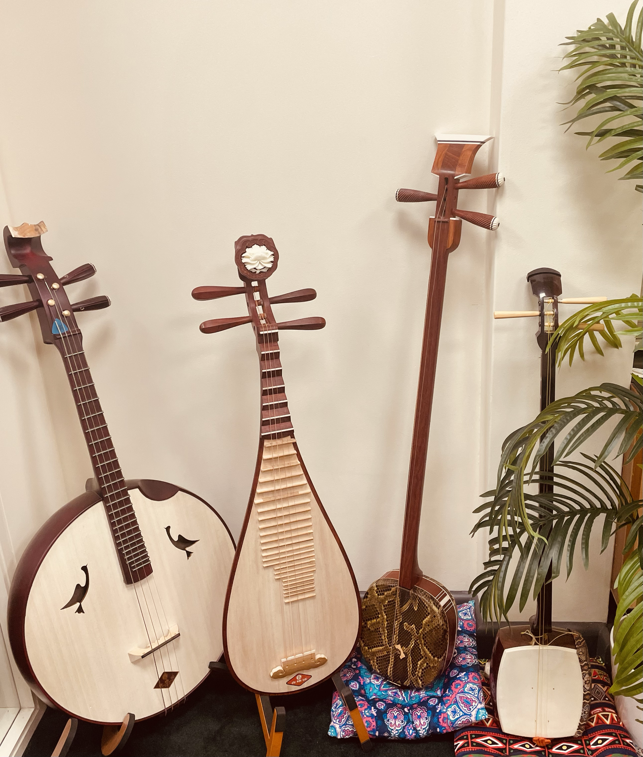 Four traditional string instruments, including a guitar, a qanun, a saz, and a viol in a room with a plant and patterned fabric.